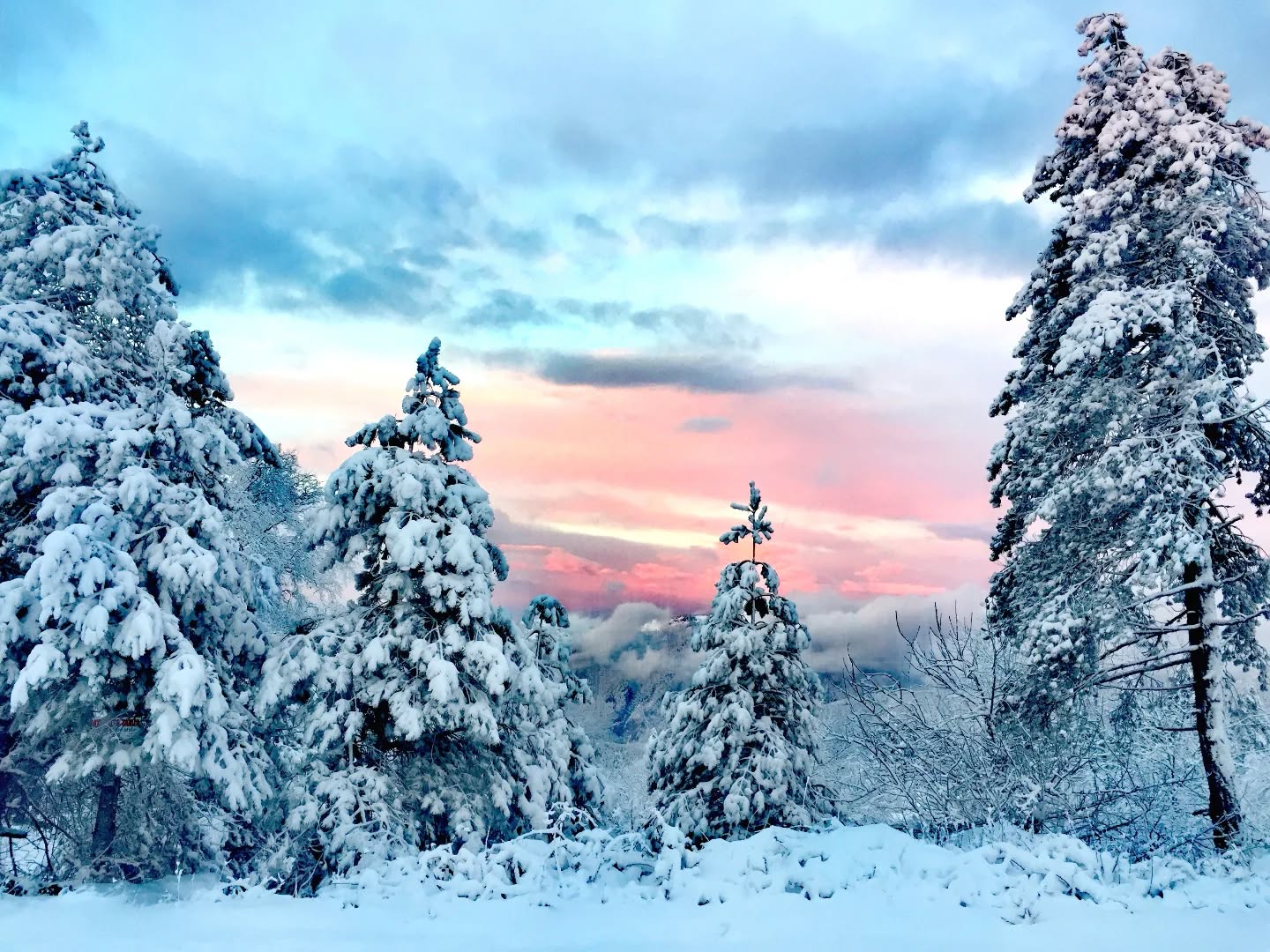Zorkun Yaylası’nda Kar Hasreti (5)