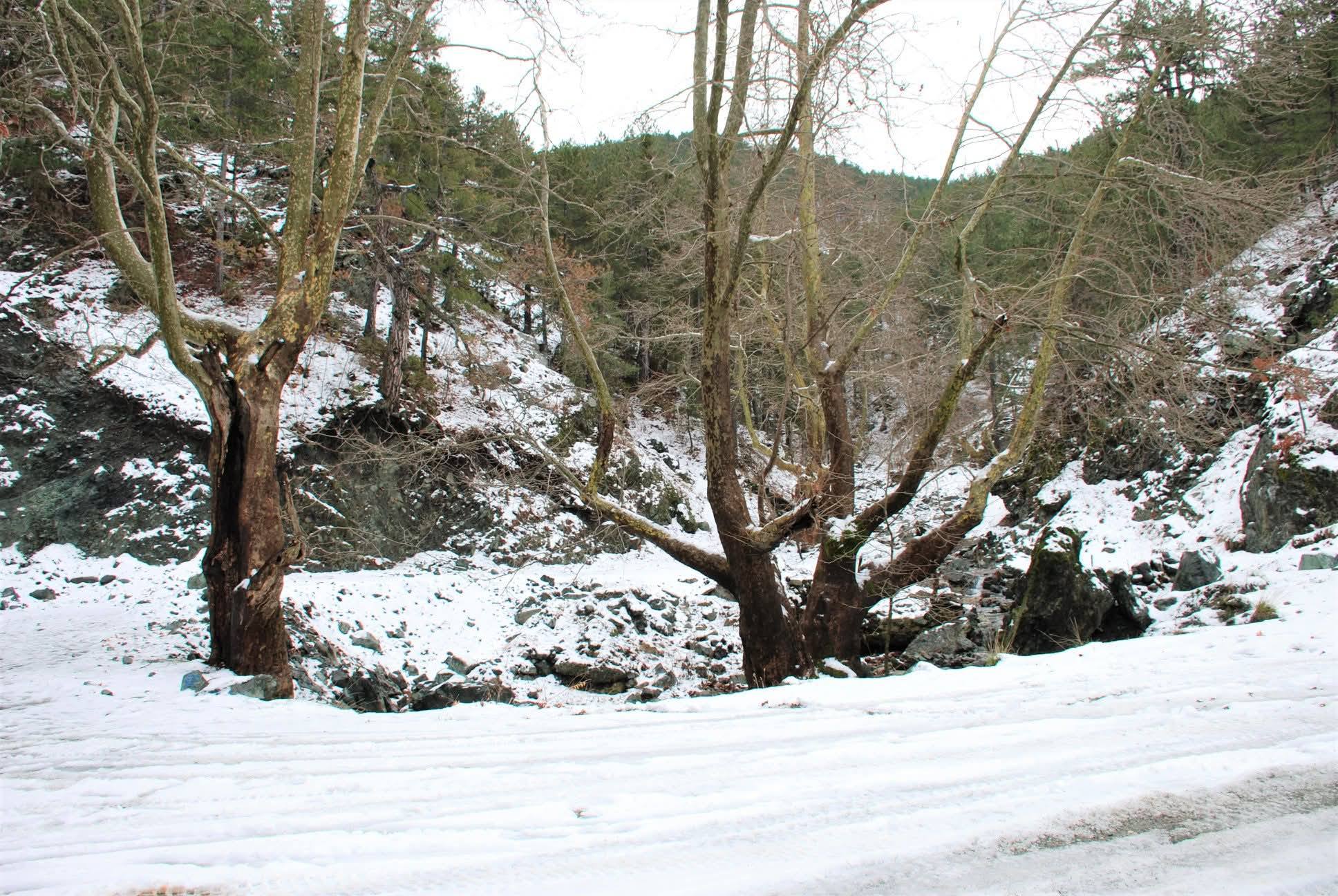 Amanos Dağları’nda Osmaniye Çataloluk’tan Yaylaya Yolculuk2