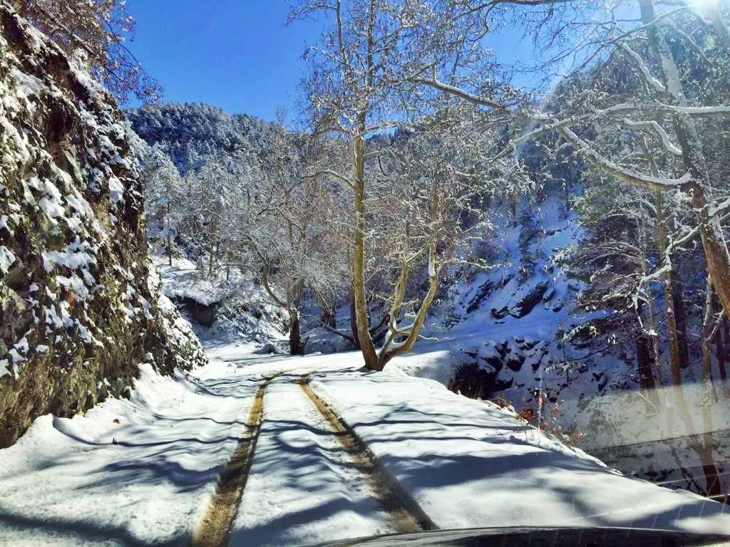 Amanos Dağları’nda Osmaniye Çataloluk’tan Yaylaya Yolculuk4