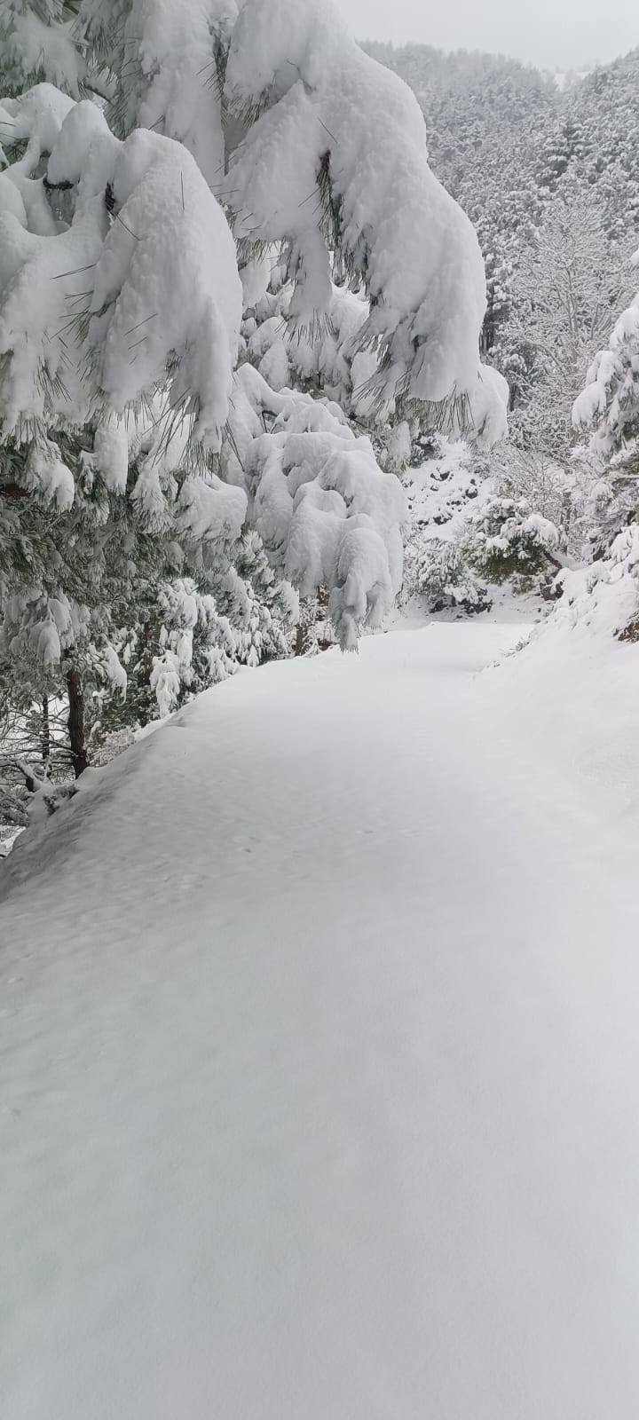 Amanoslar’da Kış Güzelliği (1)