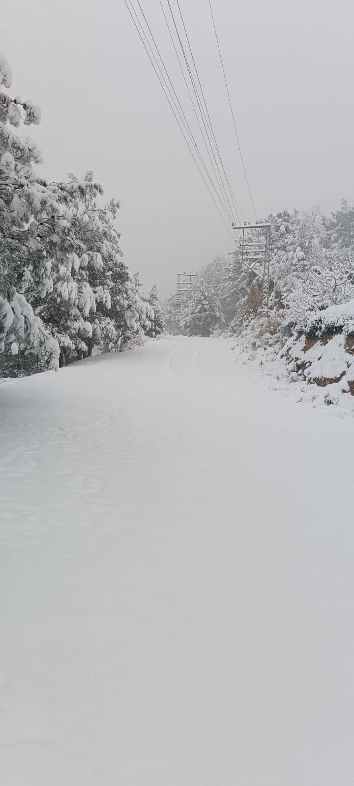 Amanoslar’da Kış Güzelliği (12)