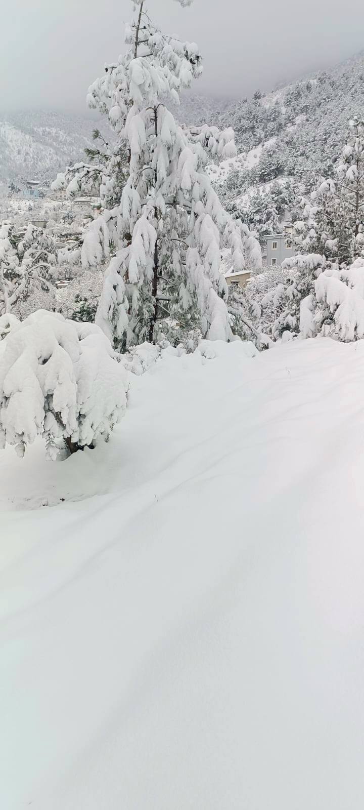 Amanoslar’da Kış Güzelliği (2)