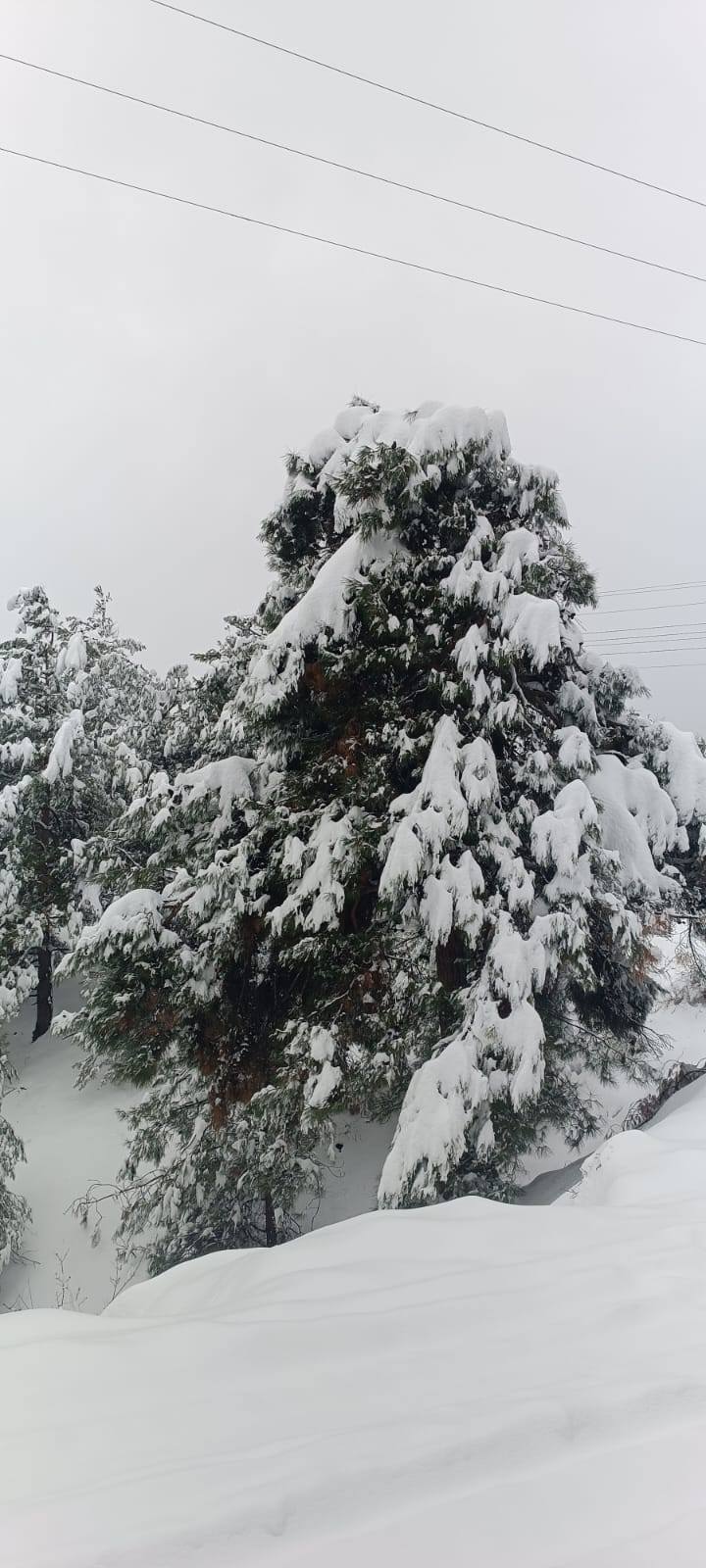 Amanoslar’da Kış Güzelliği (3)