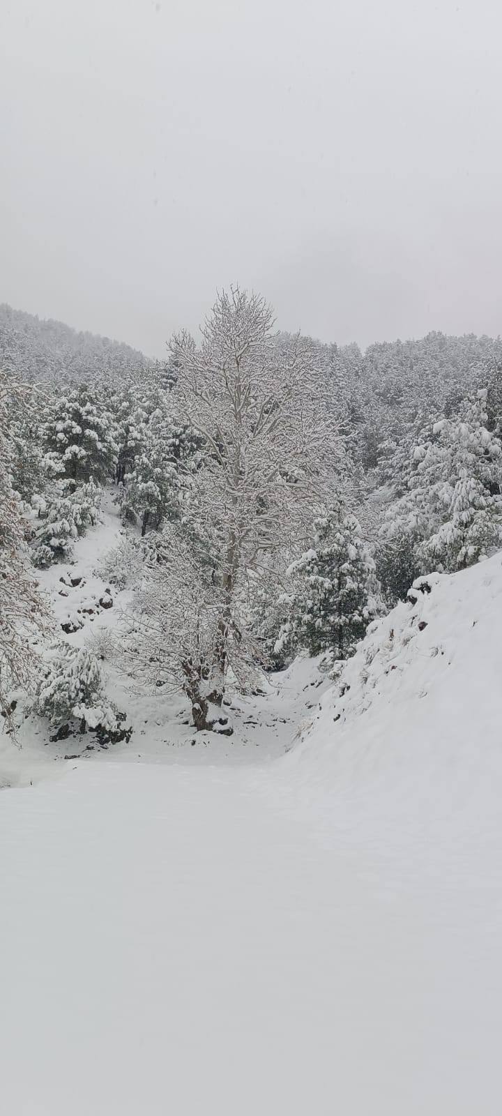 Amanoslar’da Kış Güzelliği (6)