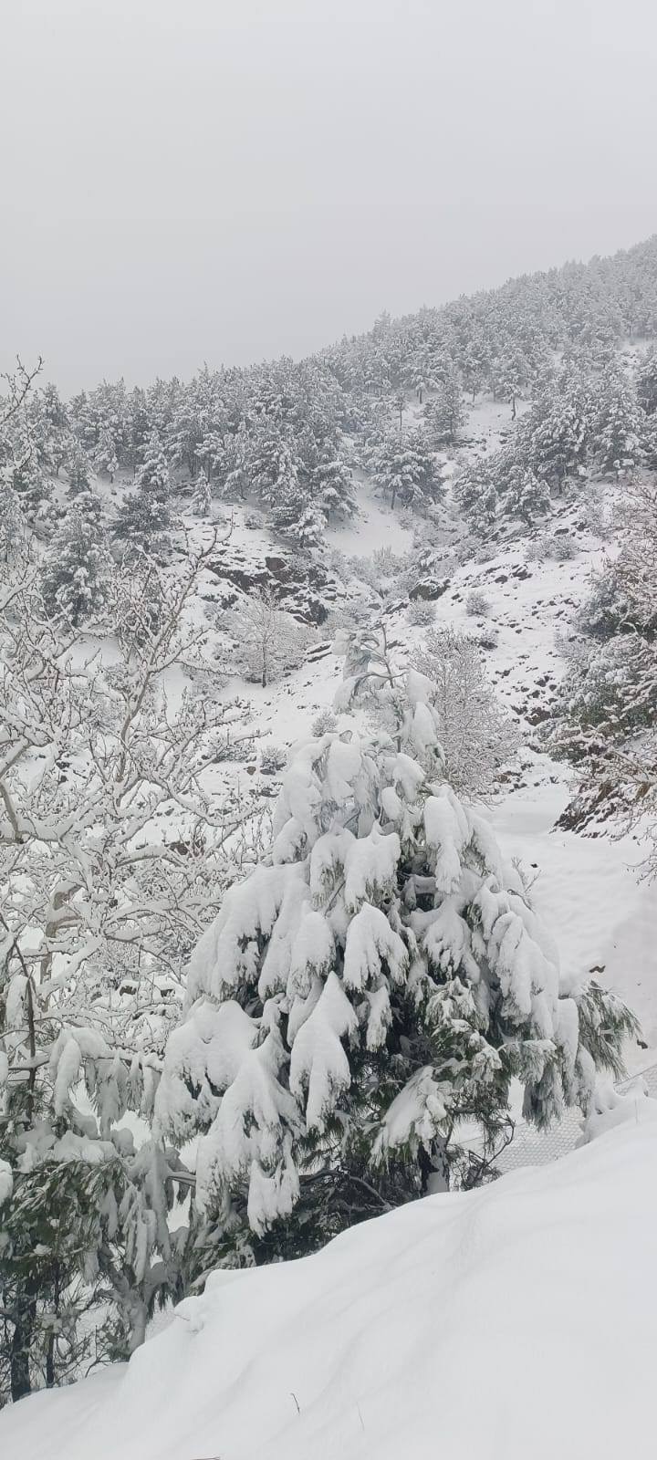 Amanoslar’da Kış Güzelliği (7)