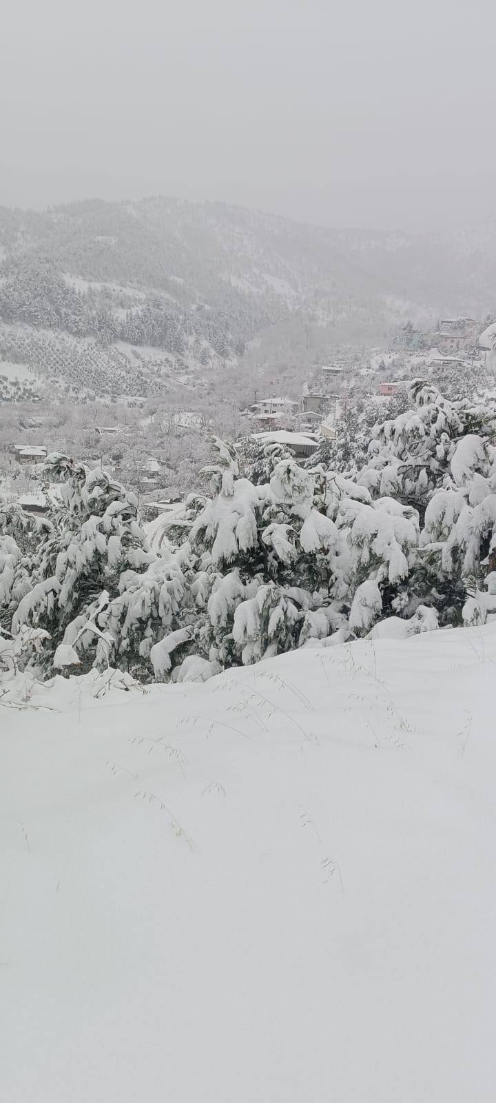 Amanoslar’da Kış Güzelliği (8)