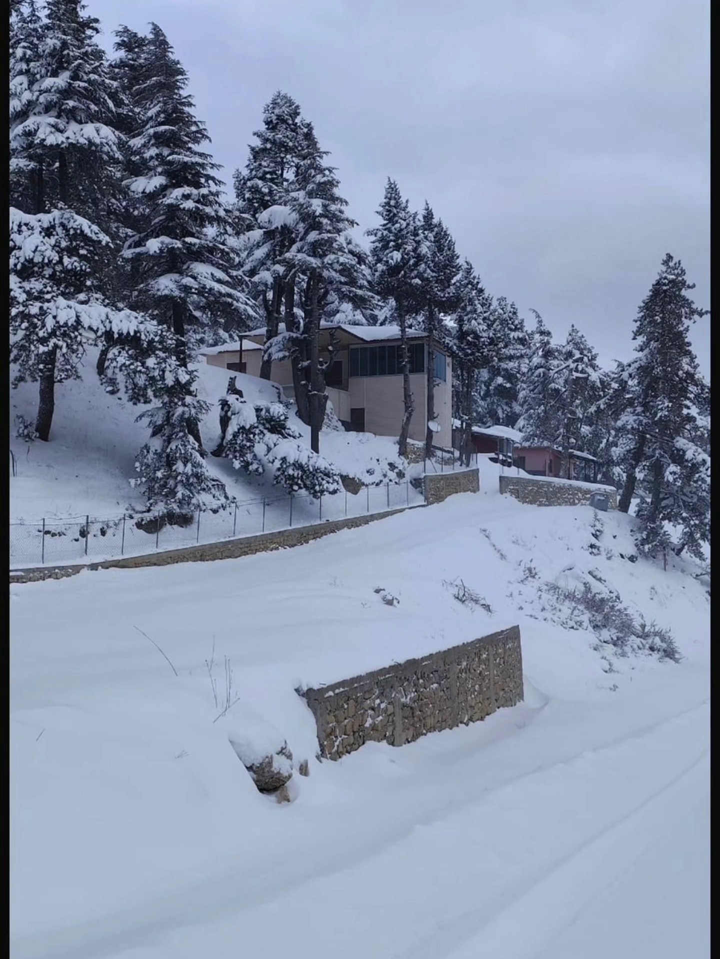 Bağdaş Yaylası Beyaza Büründü (2)