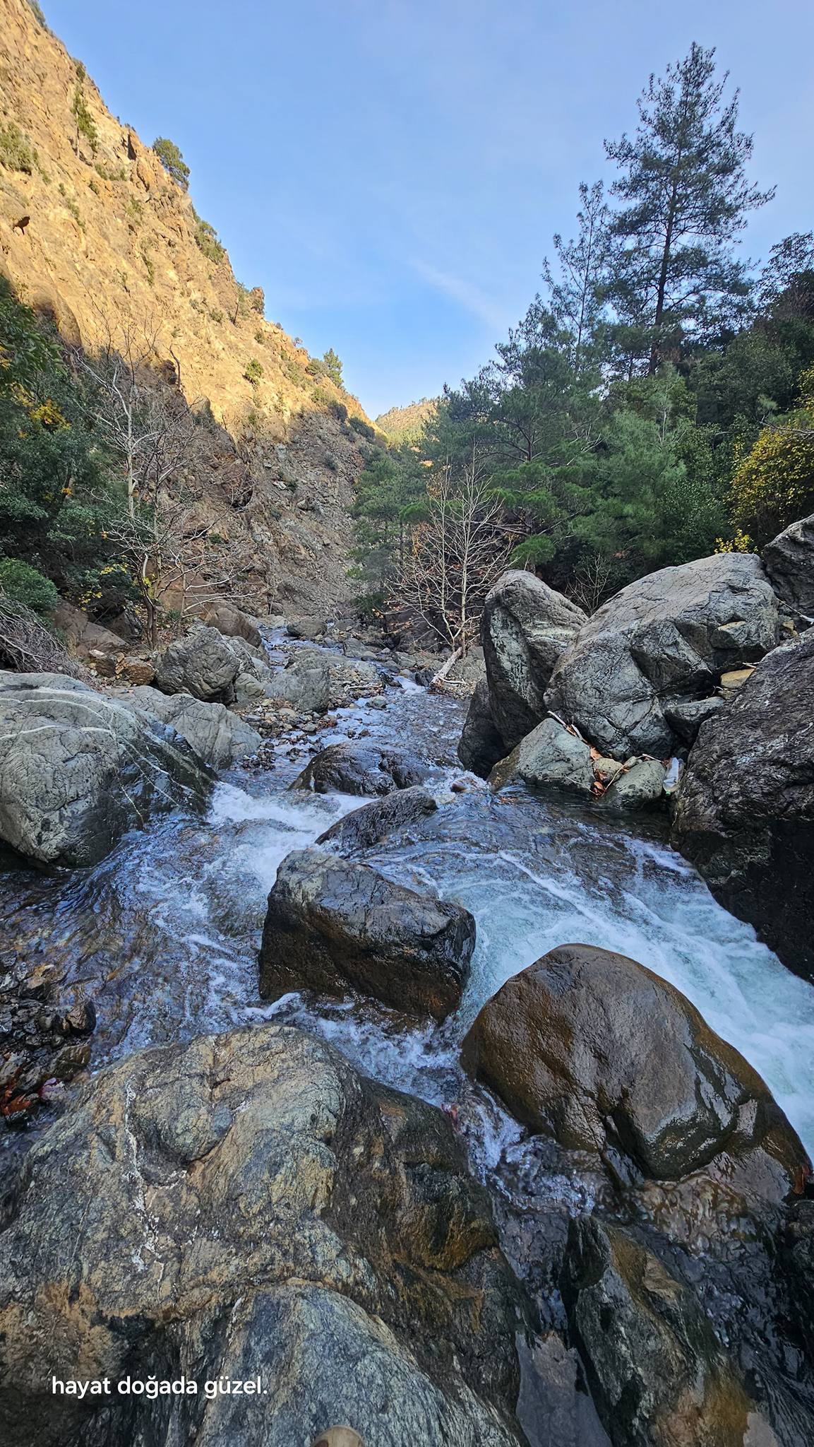 Doğanın Kalbi Amanoslar’da Atıyor (1)