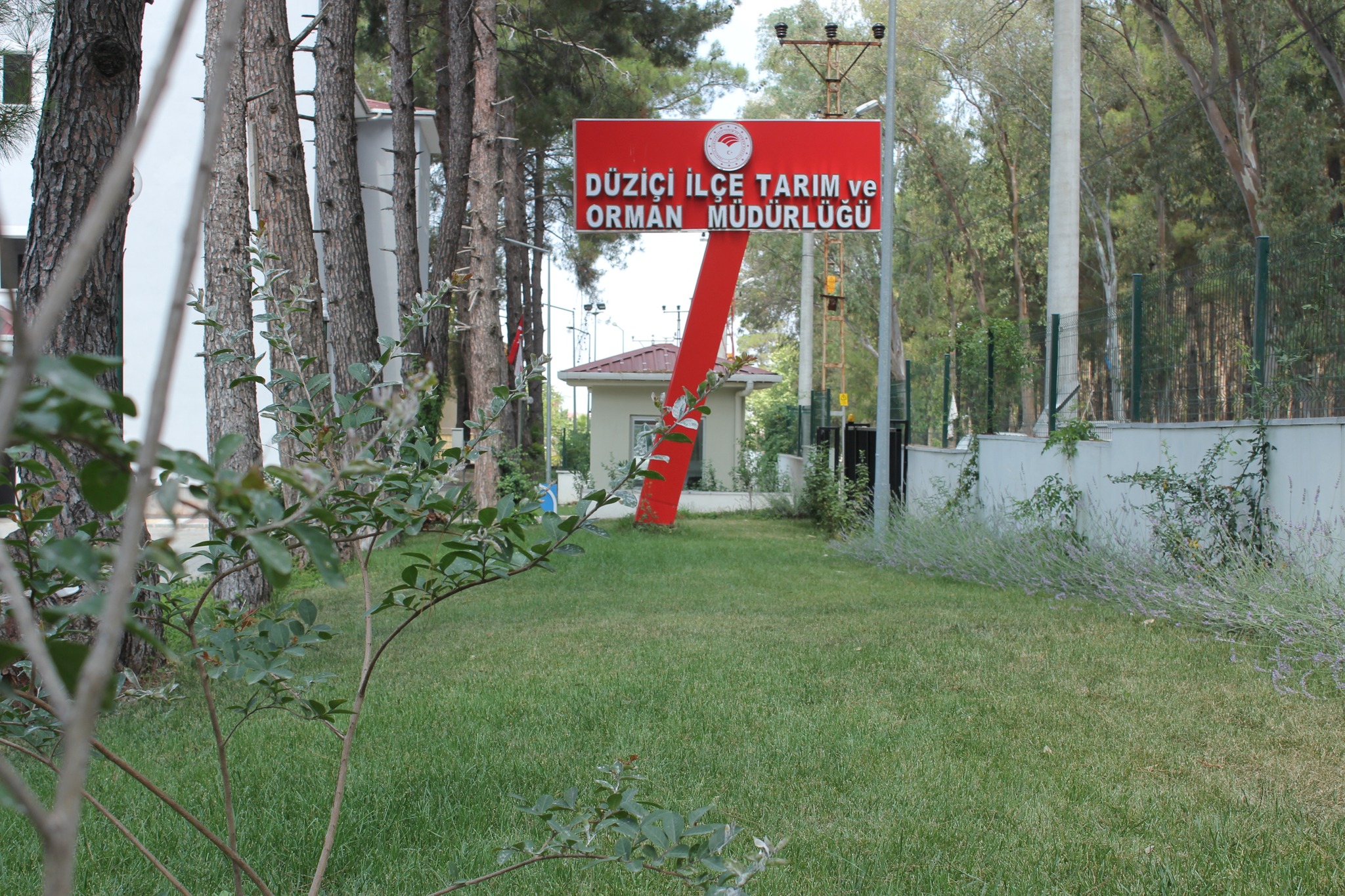 Düziçi İlçe Tarım Ve Orman Müdürlüğü