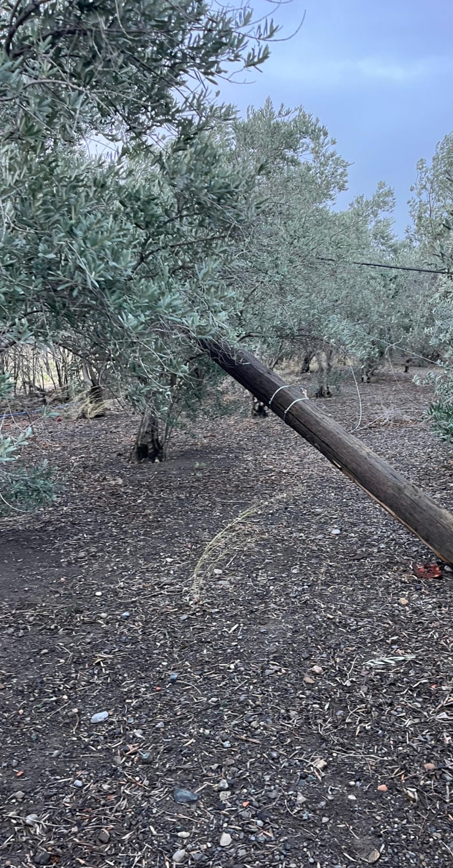 Düziçi’nde Kar Hayatı Felç Etti (3)
