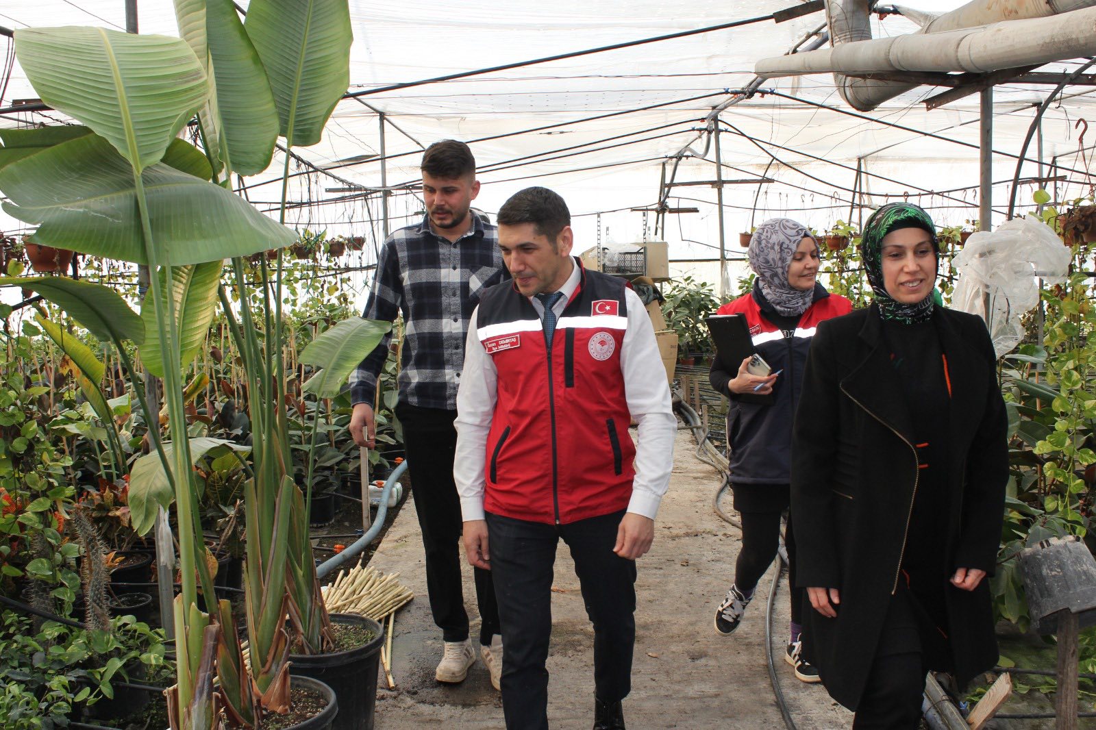 Düziçi’nde Süs Bitkisi Serasında İnceleme (4)