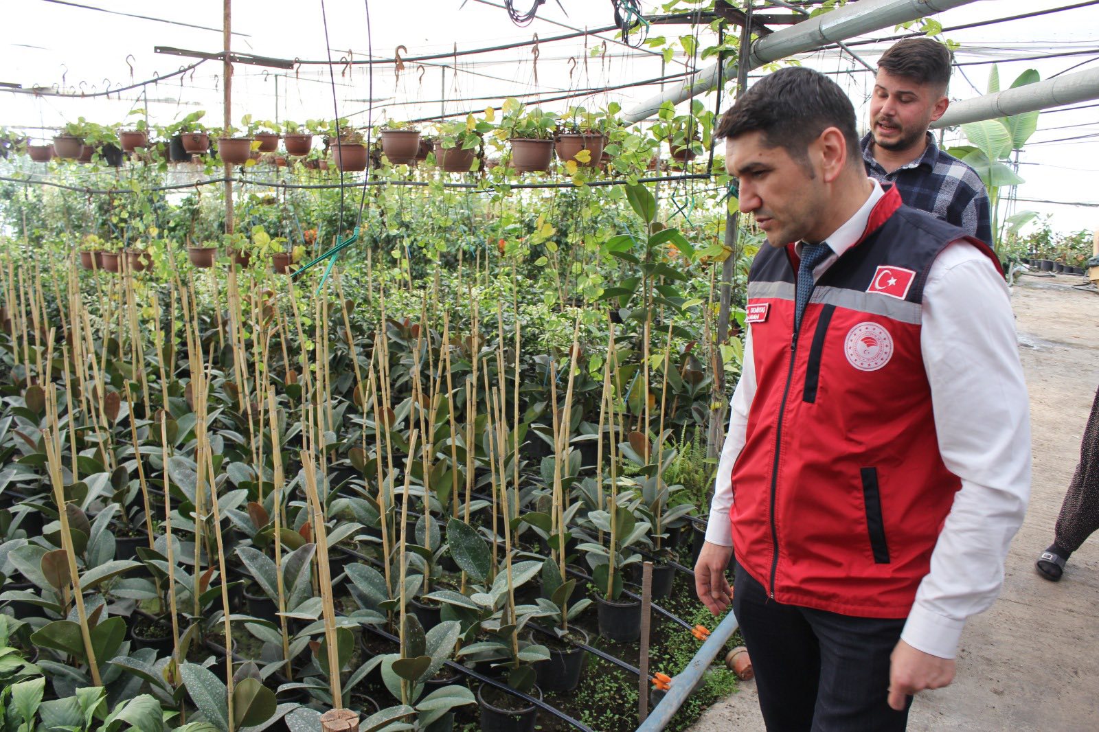 Düziçi’nde Süs Bitkisi Serasında İnceleme (8)