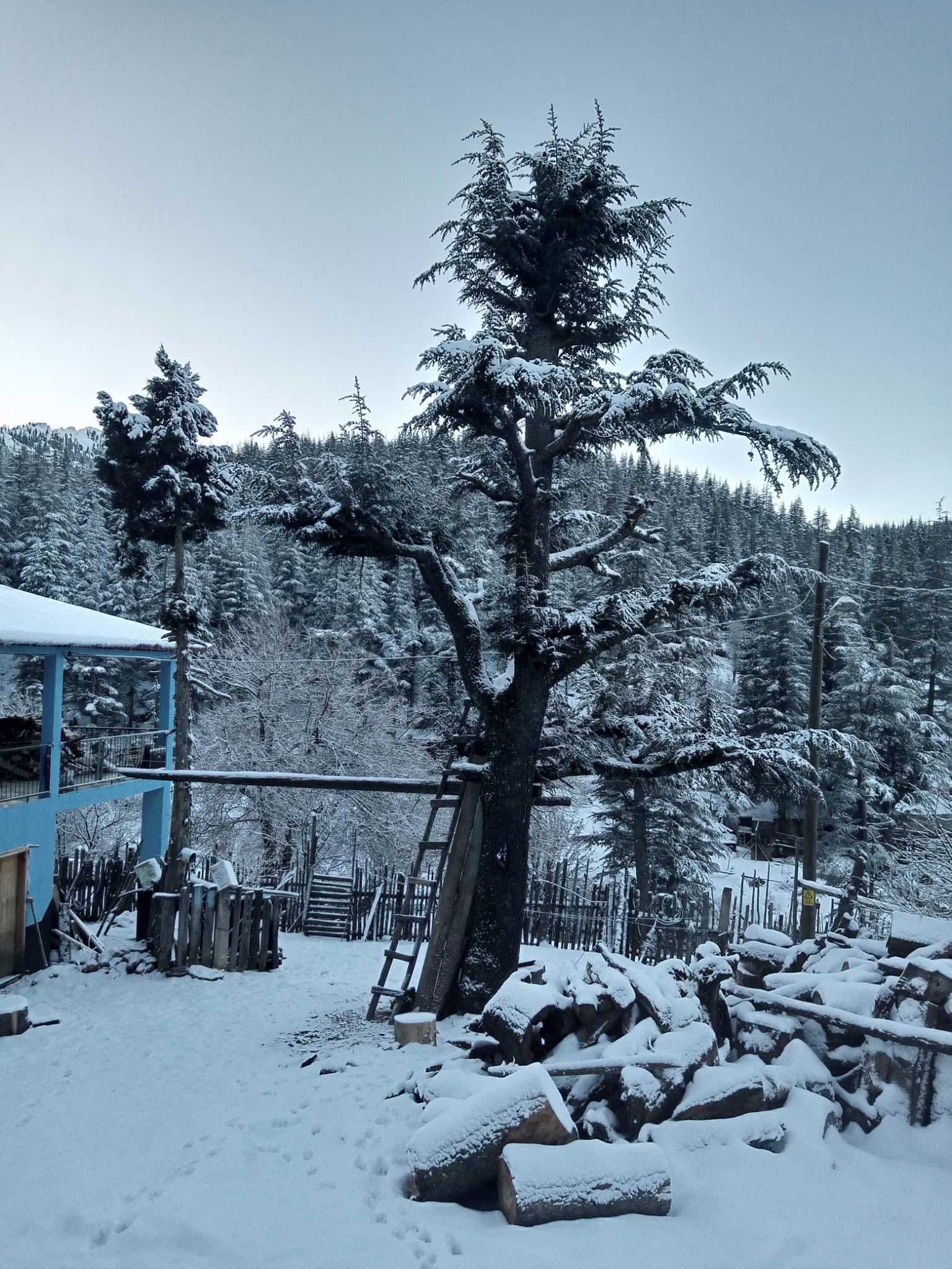 Kadirli Yaylaları Beyaz Gelinliğini Giydi Toroslar’da Kış Masalı (2)