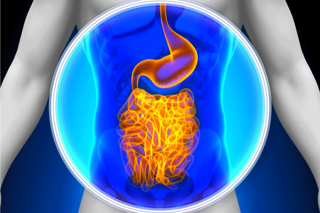 Kolon Kanserinde Erken Teshisin En Buyuk Yardimcisi Kolonoskopi 1024X683