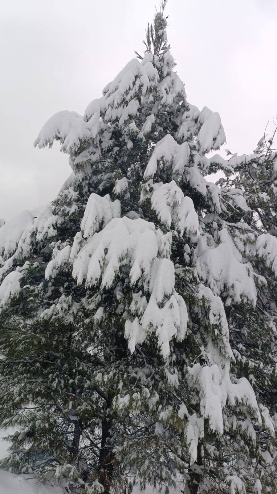Osmani̇ye’ni̇n Zi̇rvesi̇nde Kar Esareti̇ Deği̇l, Kar Keyfi̇! (5)