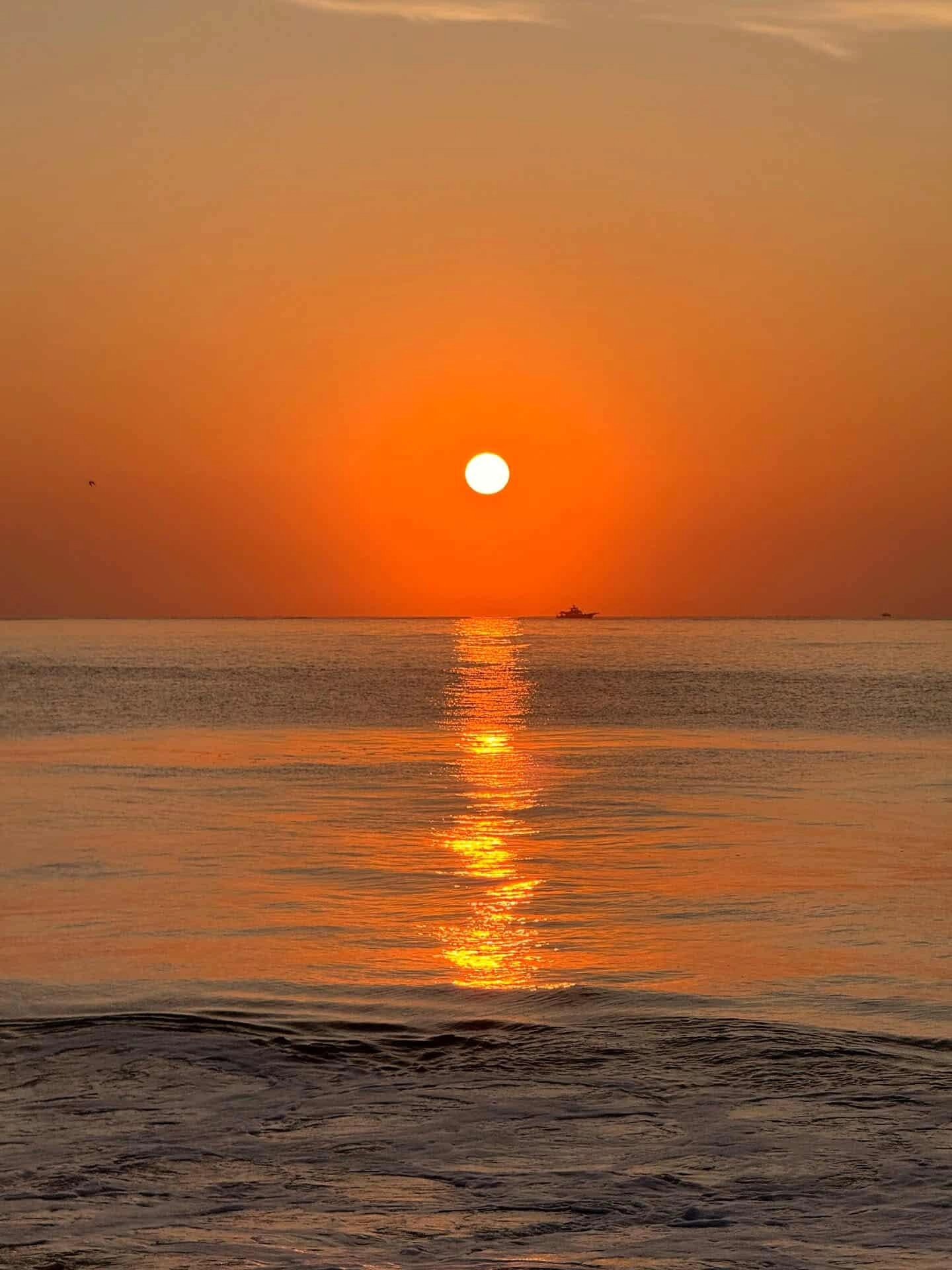 Samandağ Meydan Sahili’nde Yaz Bereketi Başladı4