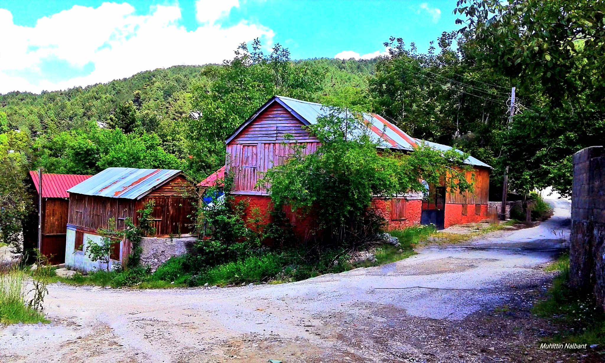 Zorkun Yaylası Yörükler Mahallesi Mevsimlerle Değişiyor2