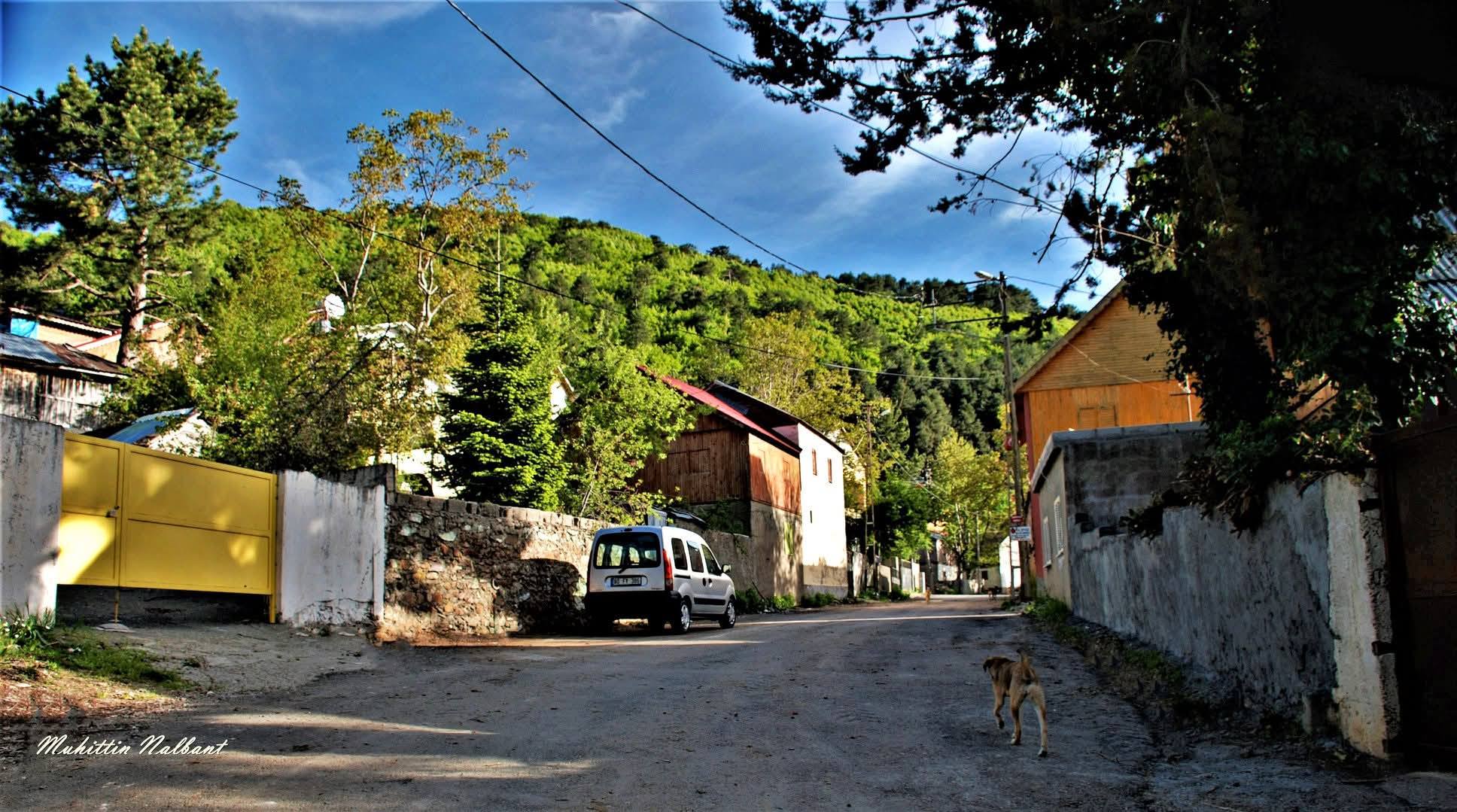 Zorkun Yaylası’nda Mevsimlerin İzleri (1)