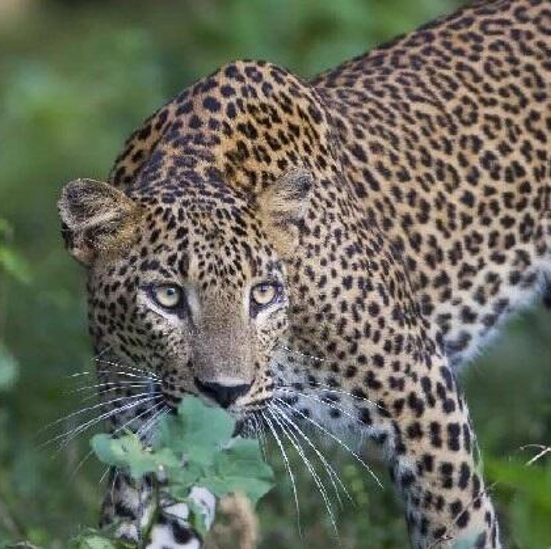 1056843973 156 576 420 1920X0 80 93458Acc7319C13F9Fa04Dd7E0D76Ebb