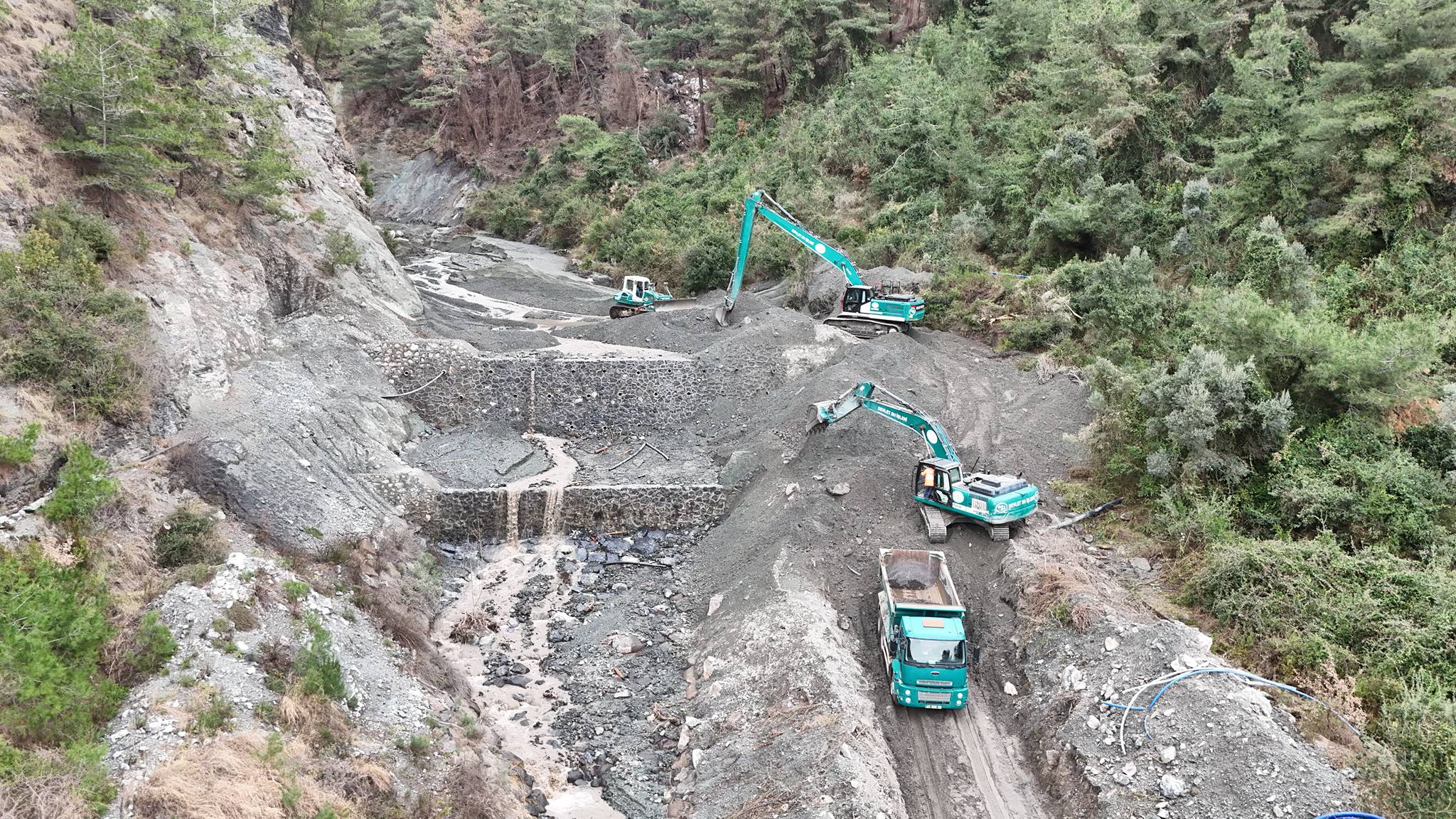 637446373 1726021102144477 1023821786049708569 N