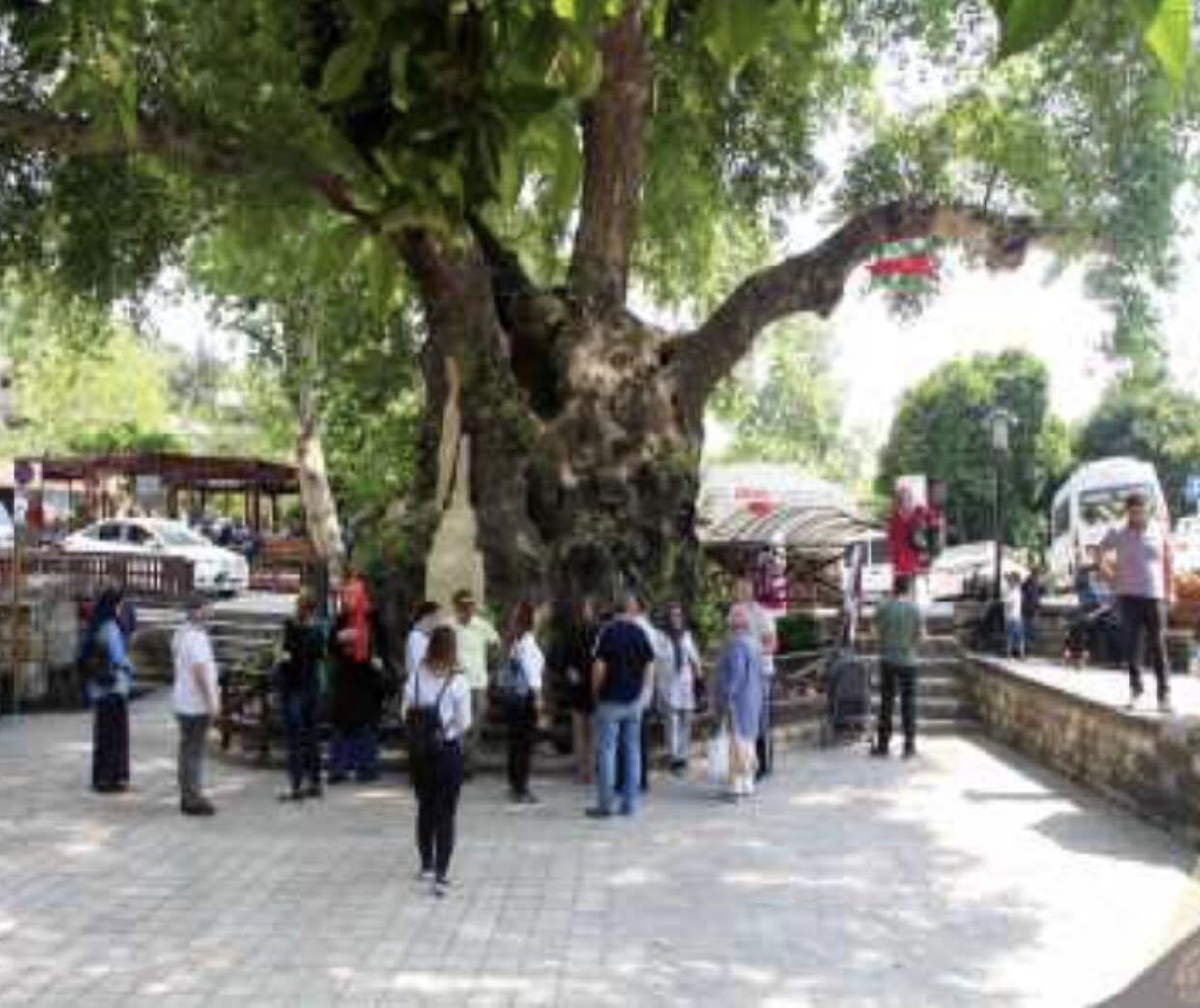 A Bi Hayat Suyu, Hidirbey Ölümsüzlük Ağaci Ve Samandağ Hizir Türbesi̇ (2)