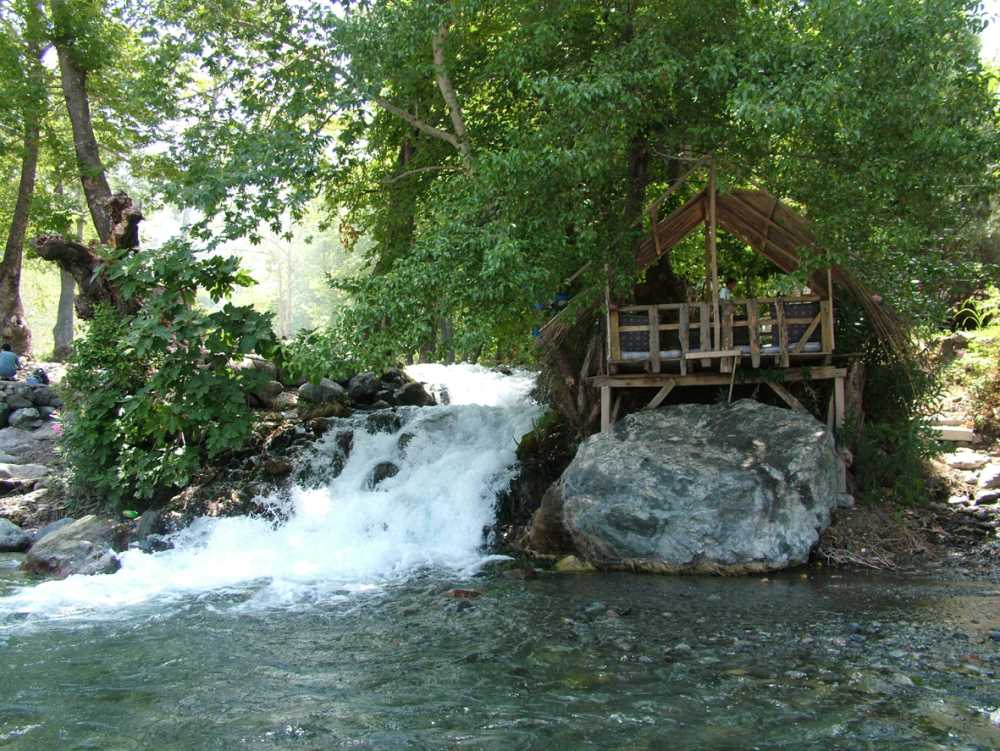 A989723F B140 439F 9140 40F56556D765