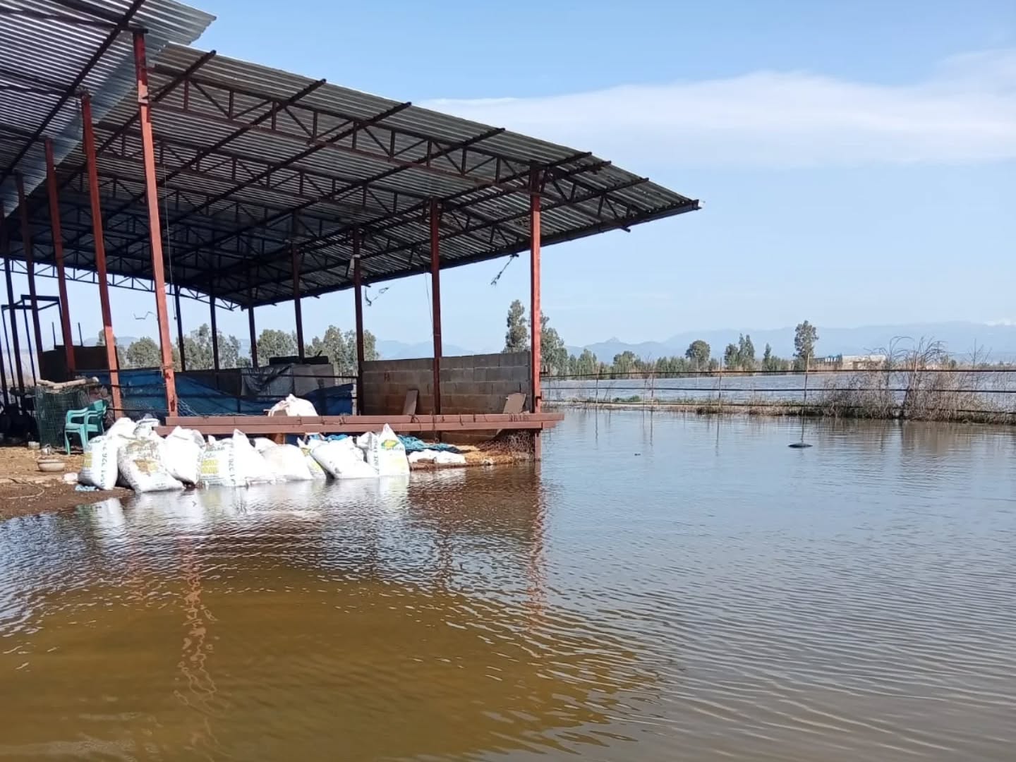 Kadirli’de Yoğun Yağış Tarım Arazilerini Vurdu (1)