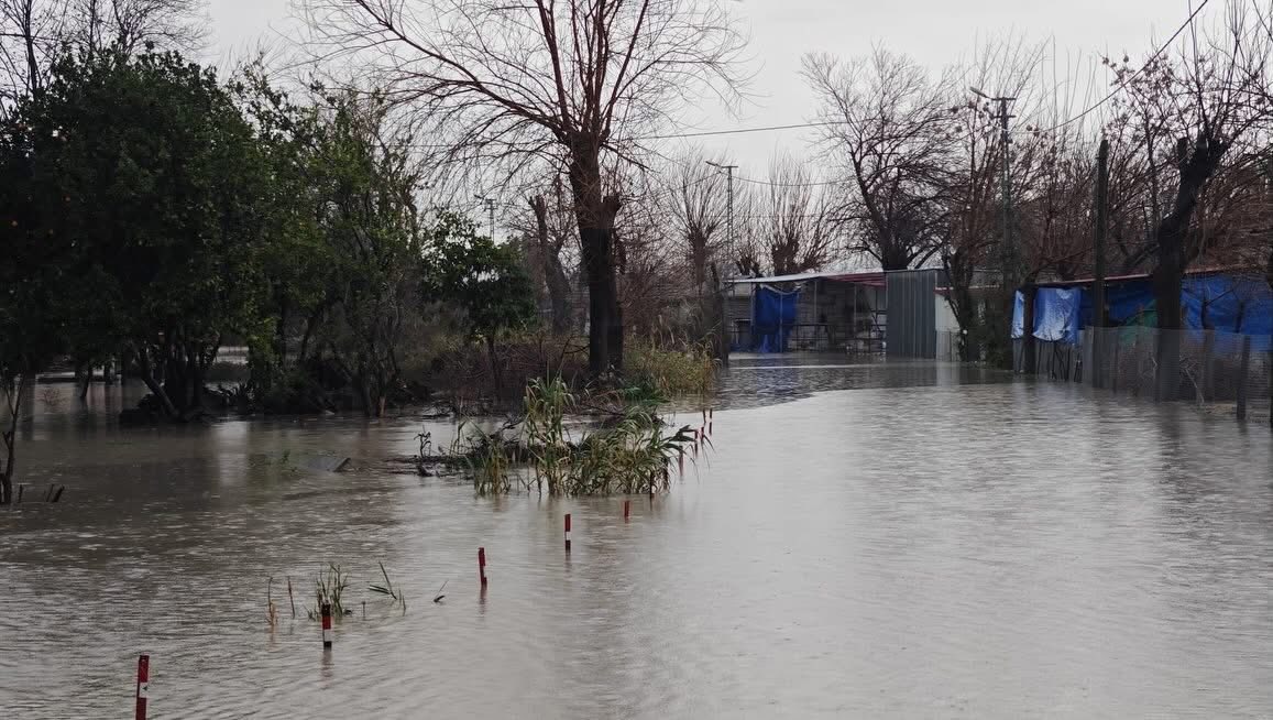 Kaymakam Dolu Taşkın Bölgelerinde (1)