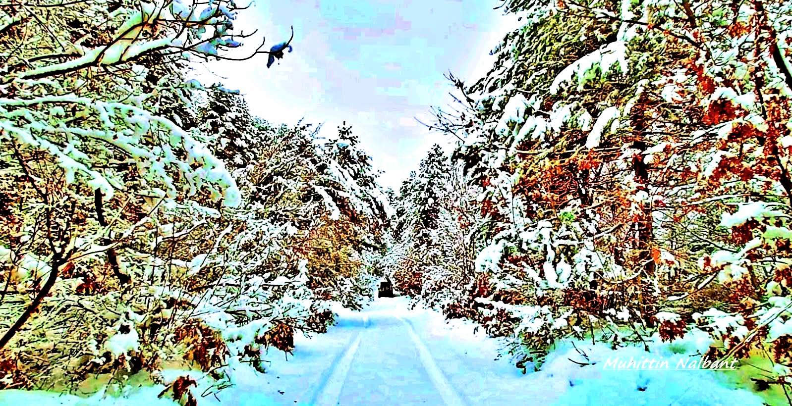 Osmaniye Zorkun Yaylası’nda Keldaz Yolu Hayran Bırakıyor4-1