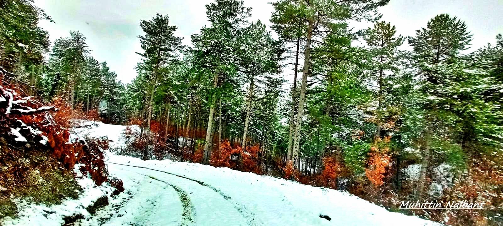 Osmaniye Zorkun Yaylası’nda Keldaz Yolu Hayran Bırakıyor5