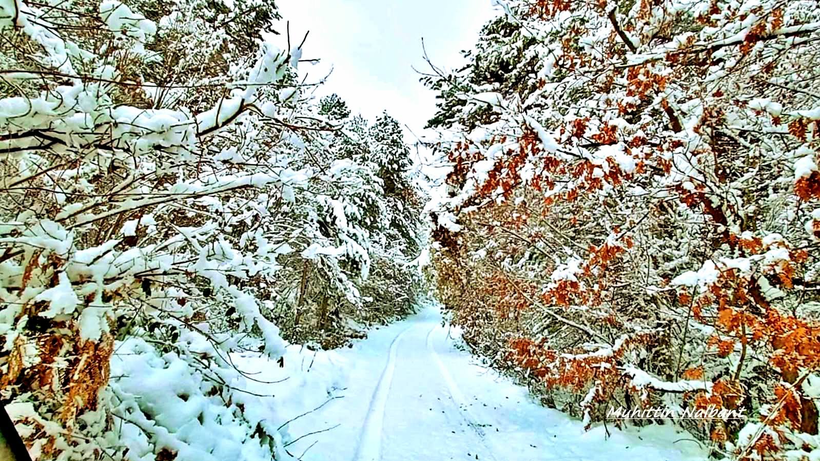Osmaniye Zorkun Yaylası’nda Keldaz Yolu Hayran Bırakıyor6