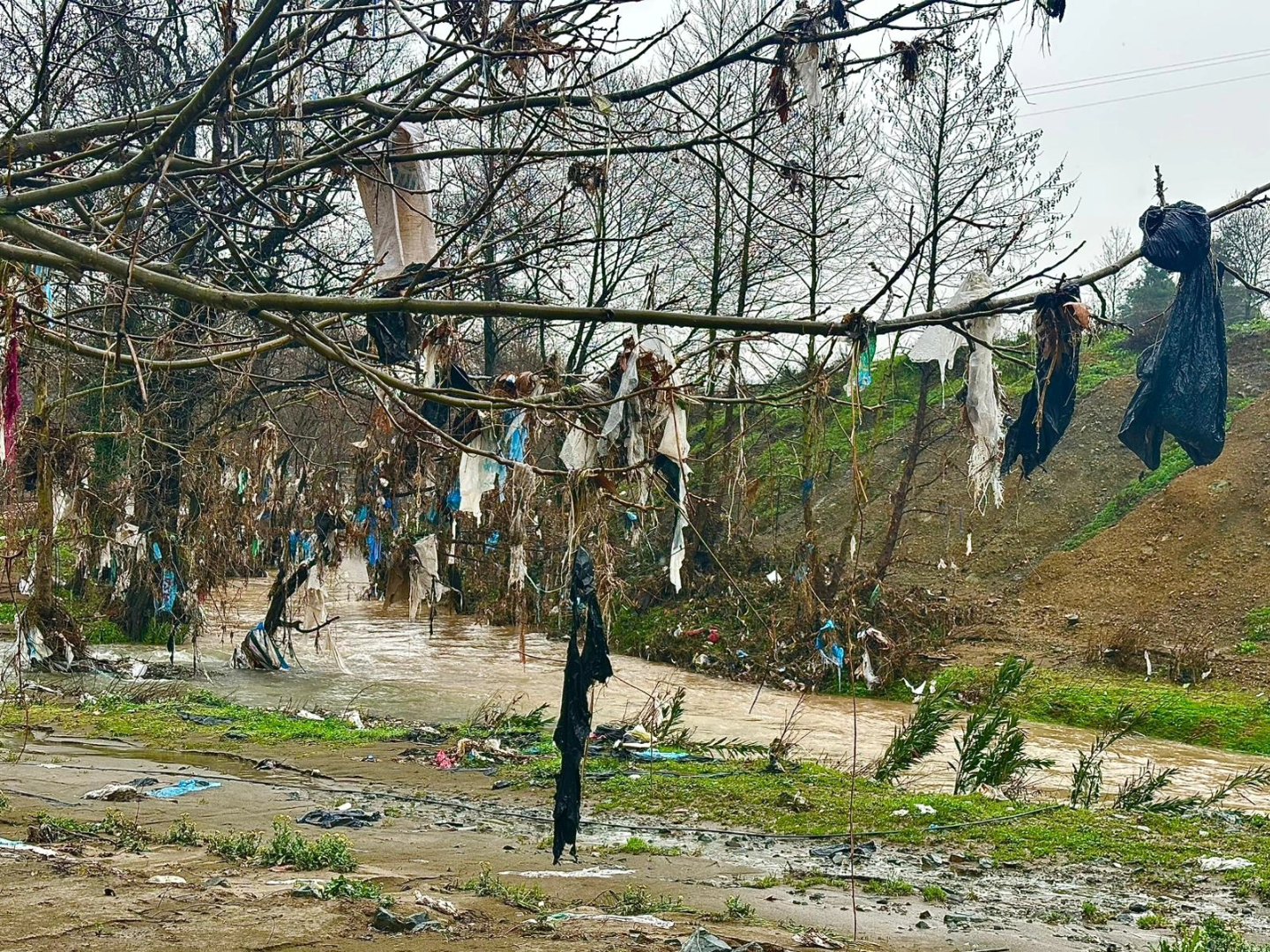 Selin Ardından Çirkin Manzara (1)