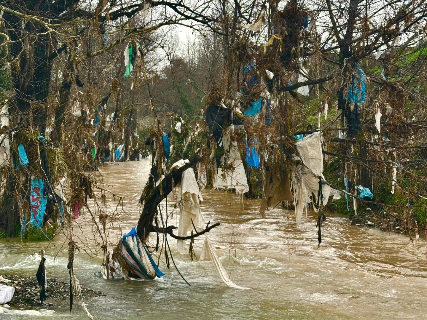 Selin Ardından Çirkin Manzara (3)