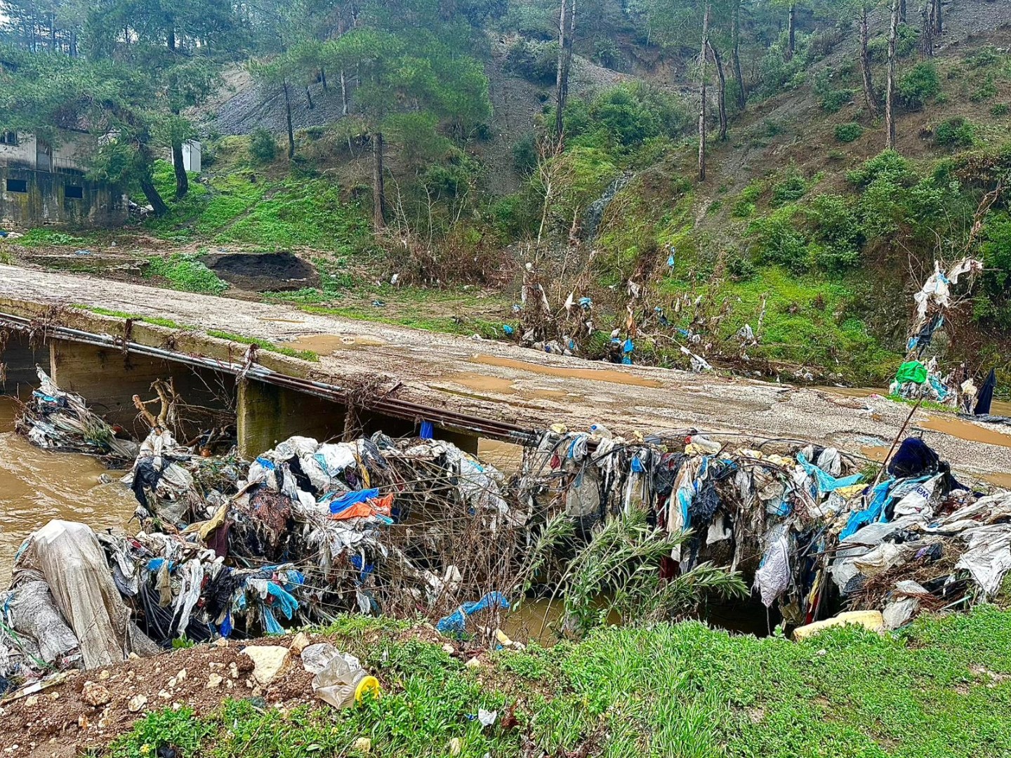 Selin Ardından Çirkin Manzara (4)