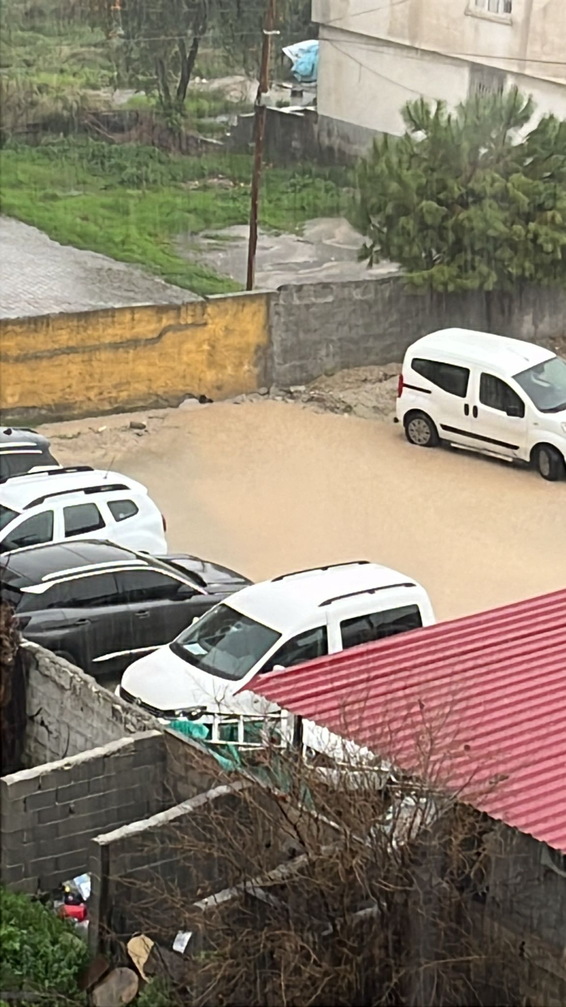 Whatsapp Image 2026 02 11 At 13.57.19