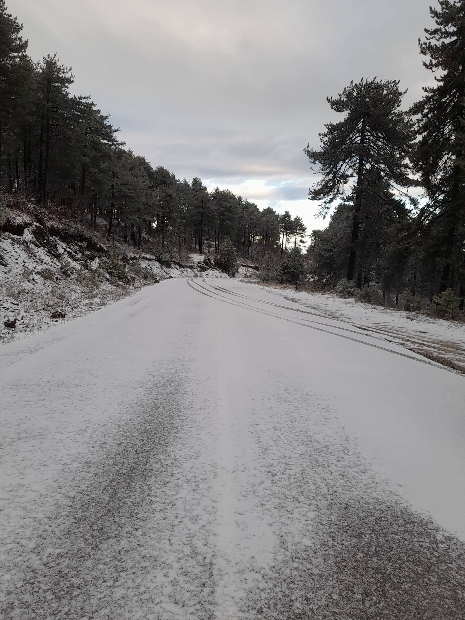 Zorkun Yaylası’nda Güneşli Gün (2)