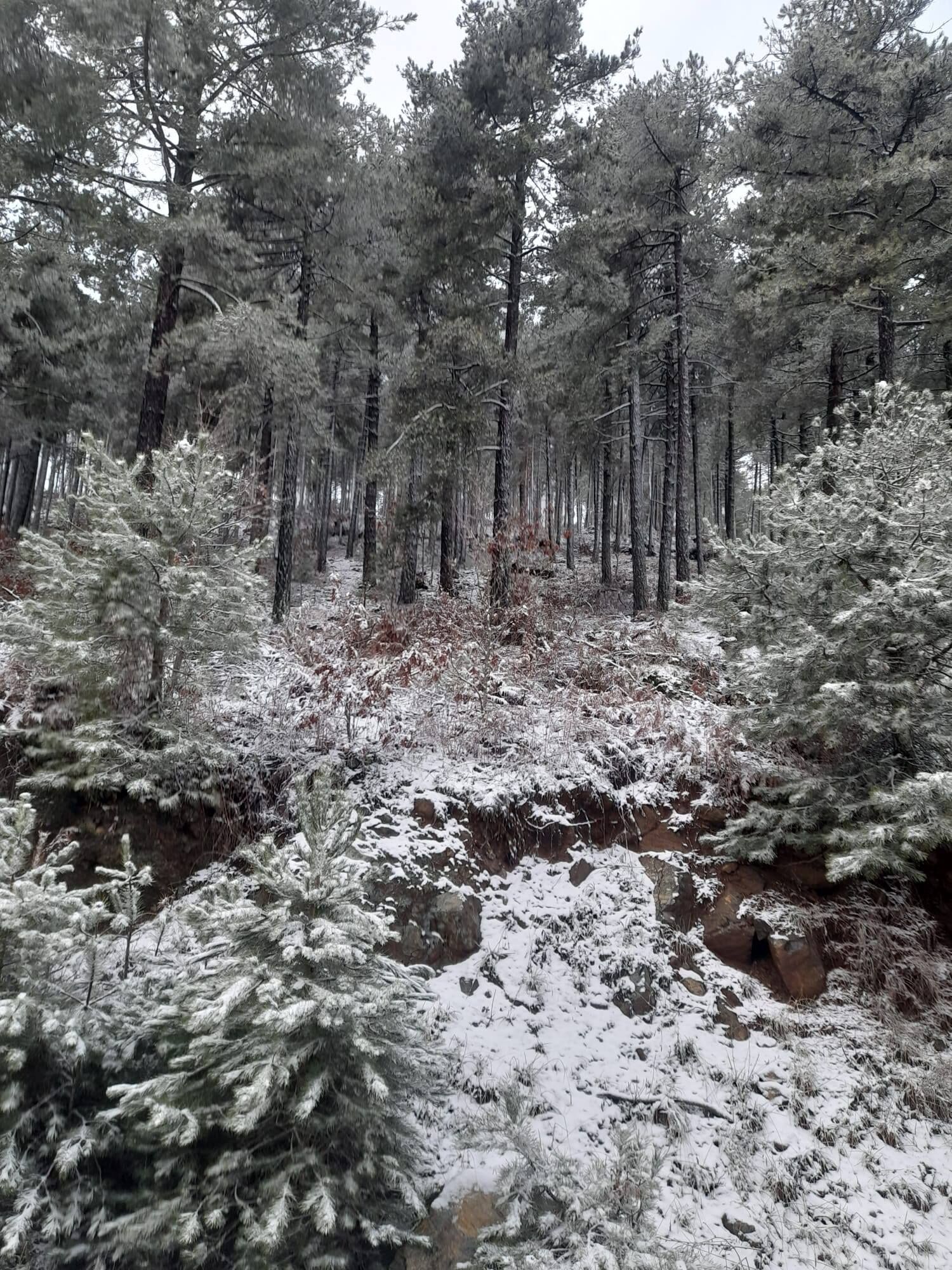 Zorkun Yaylası’nda Güneşli Gün (3)