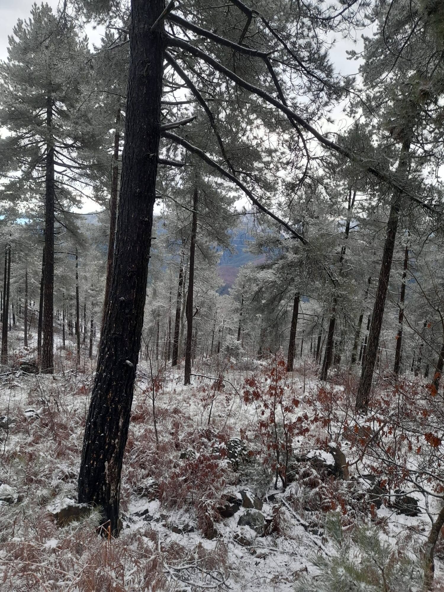 Zorkun Yaylası’nda Güneşli Gün (6)