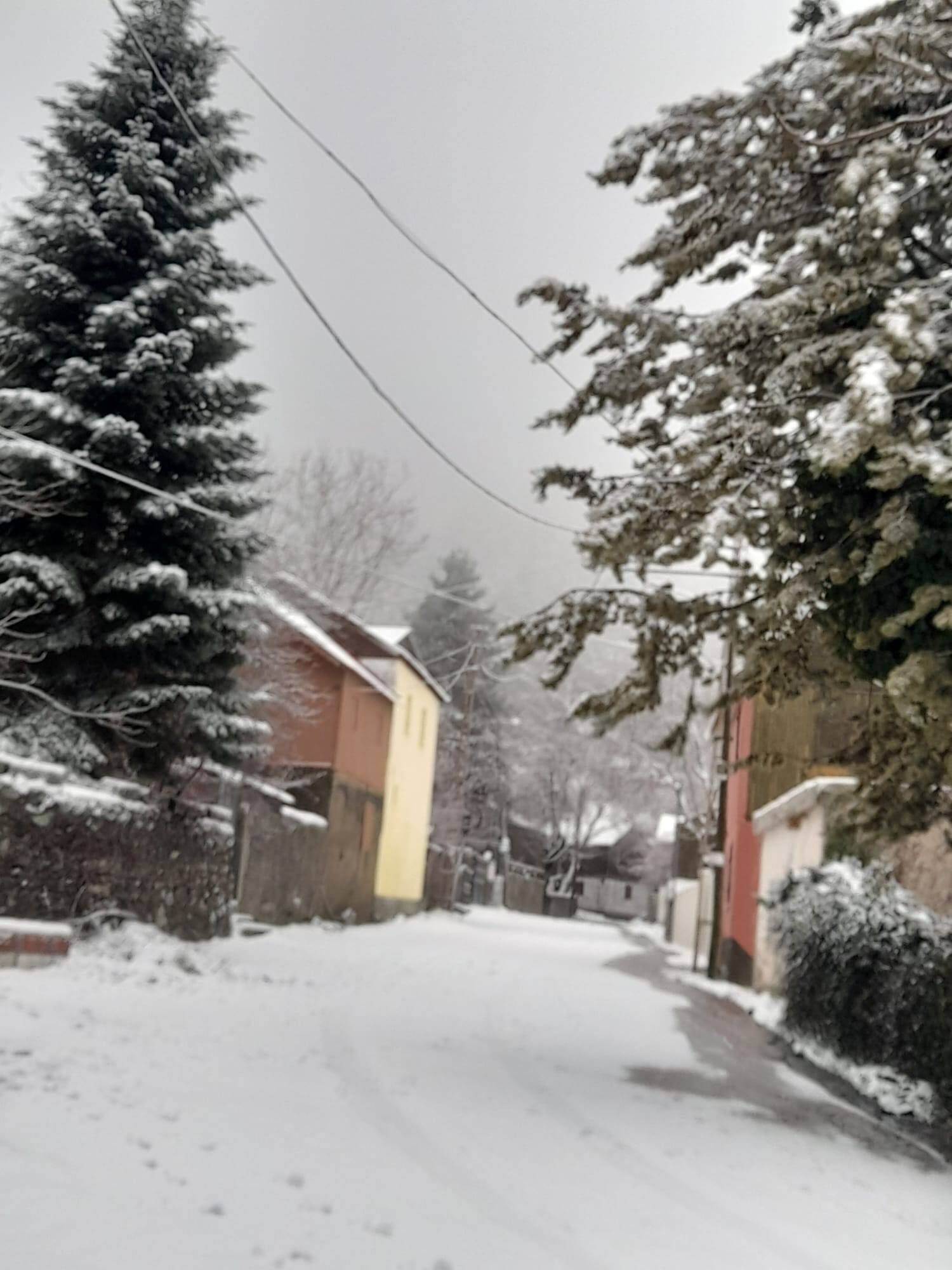 Zorkun Yaylası’nda Güneşli Gün (8)