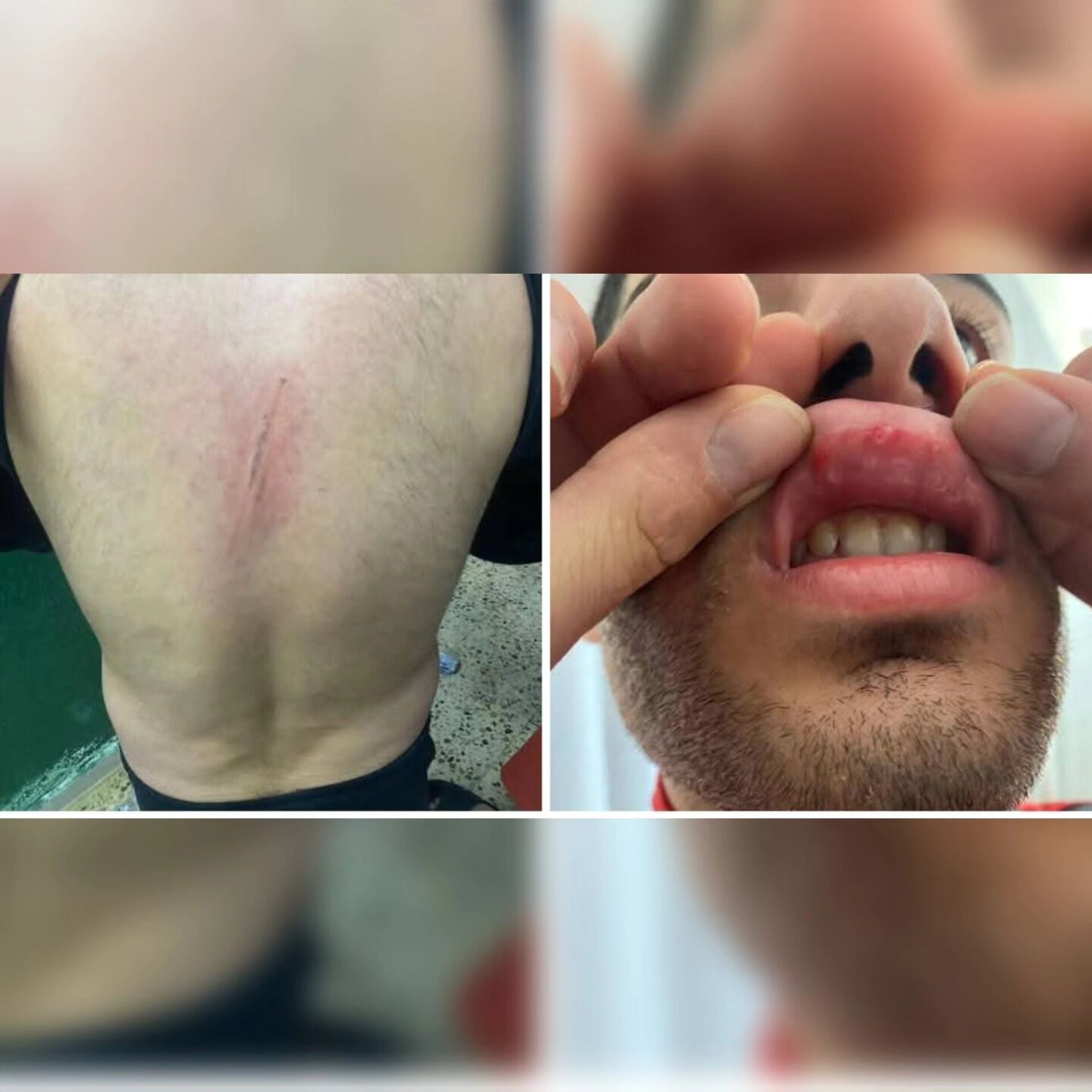 646038346 1562426209223033 4990693208716193176 N