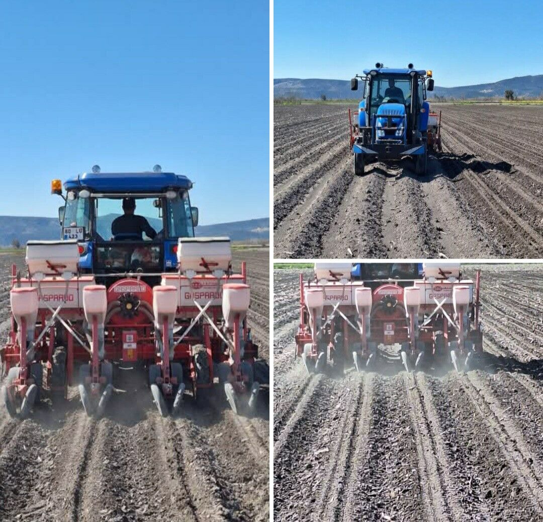 Çukurova’da Mısır Ekimine Başladı