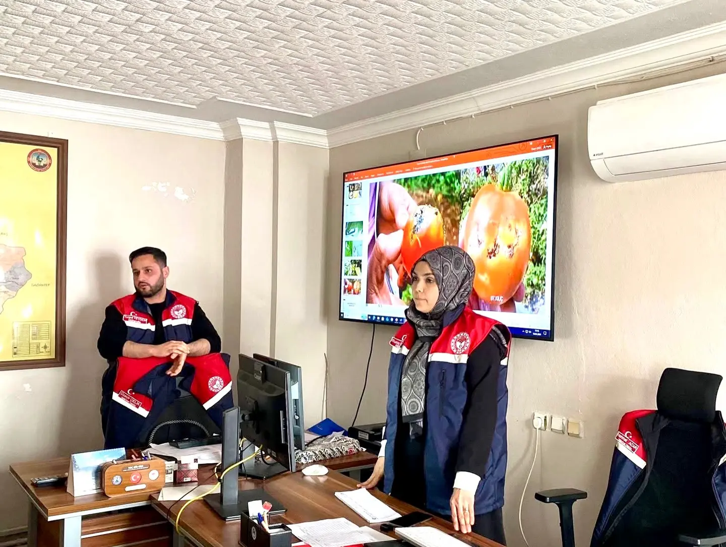 Bahçe Seracılık 3