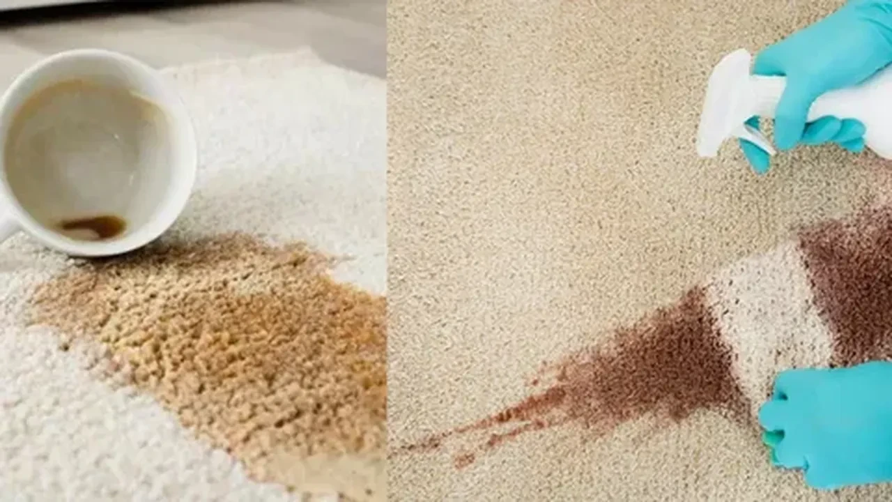 Çay Ve Kahve Lekeleri (8)