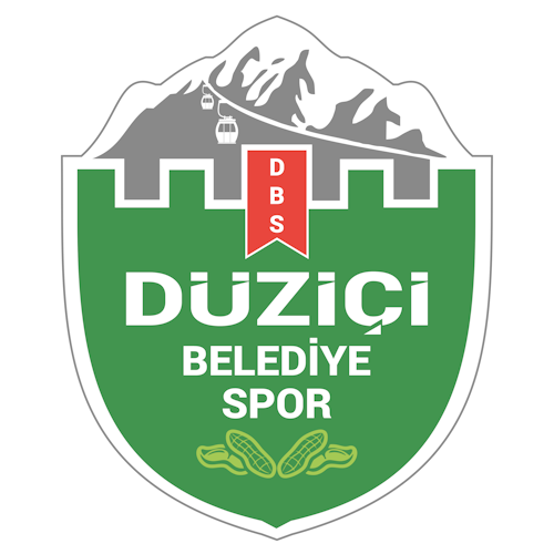 Duzicibldspor