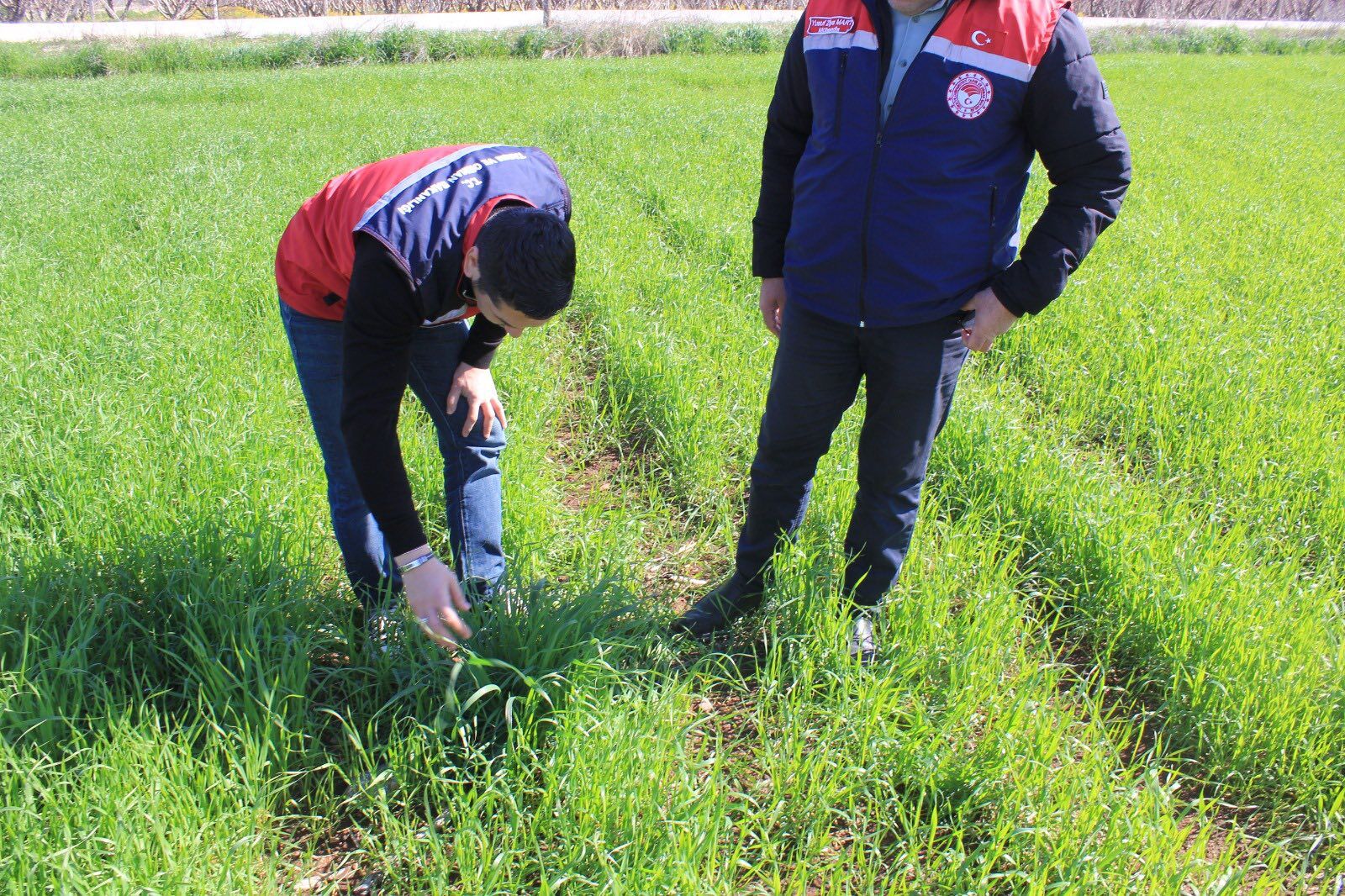 Düziçi’nde Tarla Ve Bahçelerde Sıkı Denetim (1)