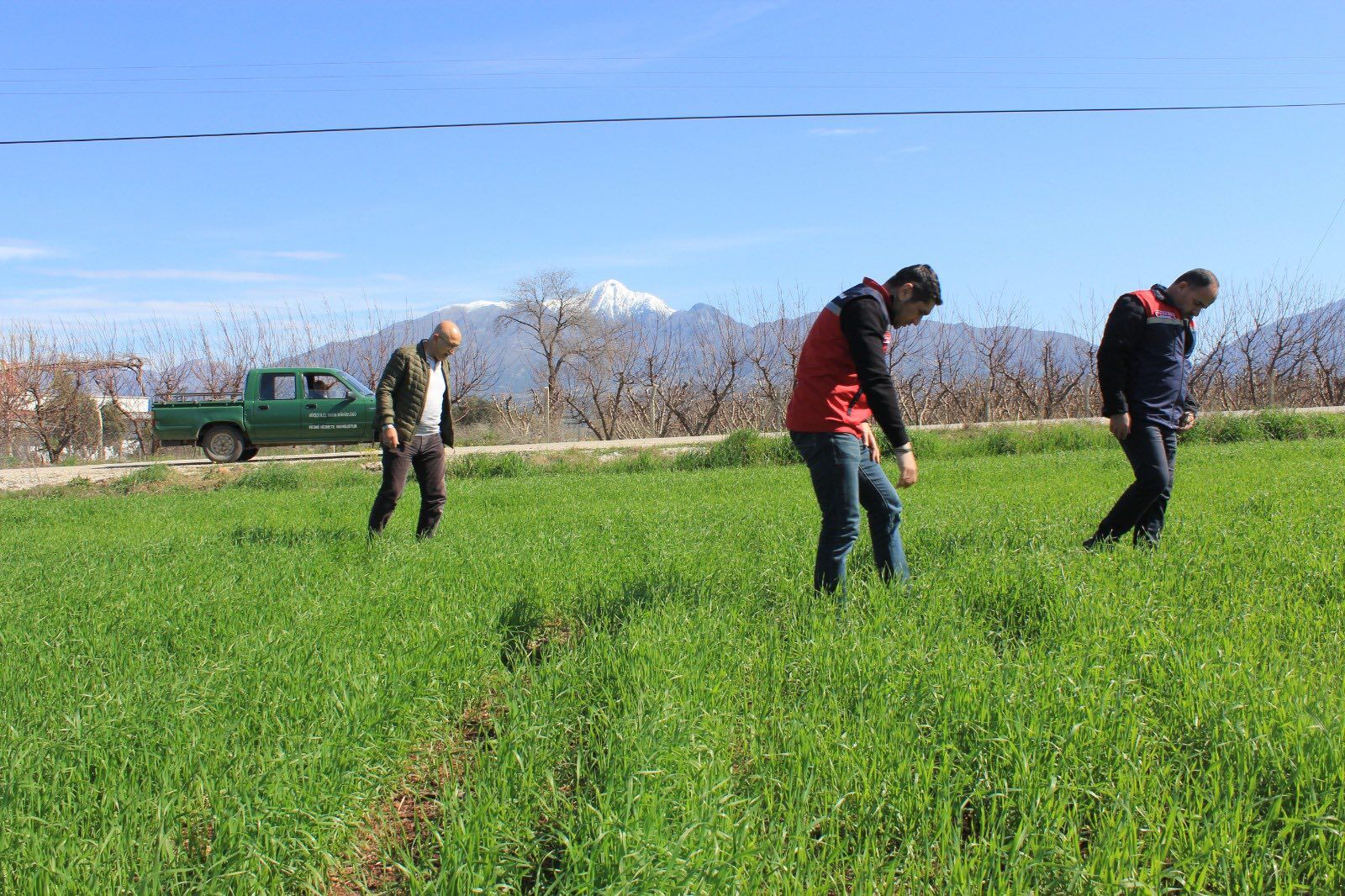Düziçi’nde Tarla Ve Bahçelerde Sıkı Denetim (6)