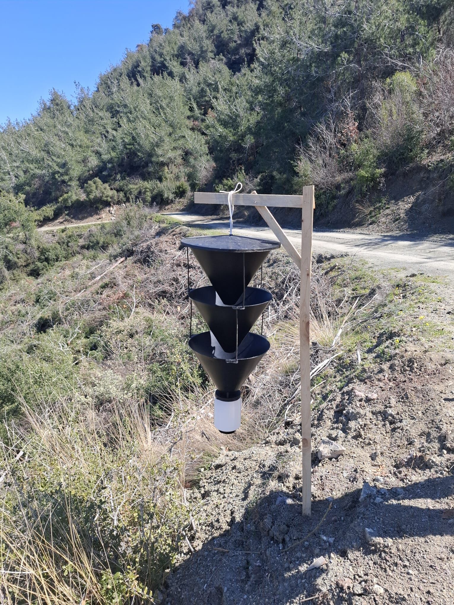 Erzin’de Kabuk Böceği Mücadelesi (2)