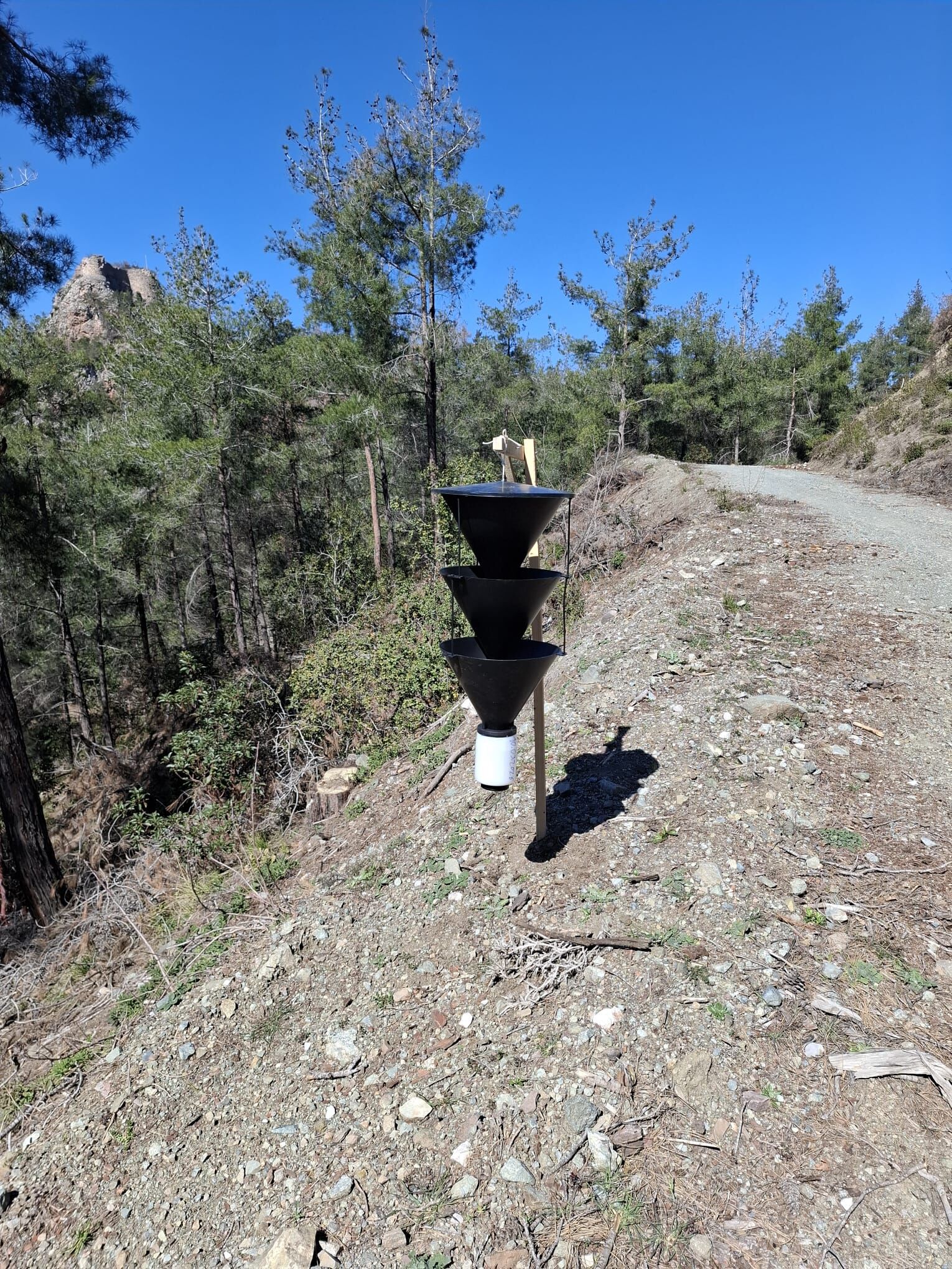 Erzin’de Kabuk Böceği Mücadelesi (6)