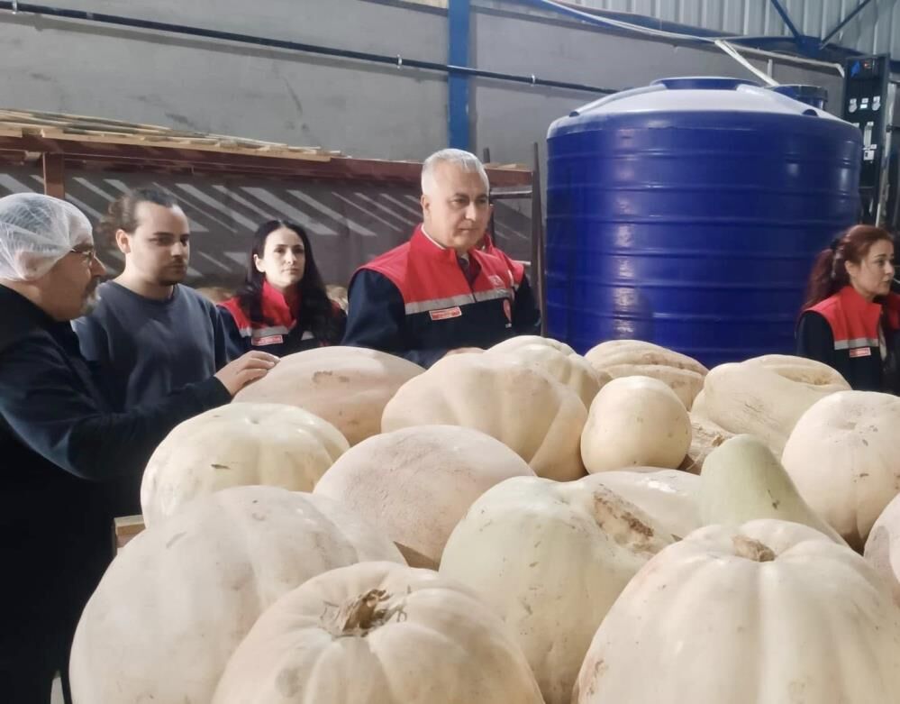 Hatay’da Kabak Tatlısı Denetimi Yapıldı (1)-1