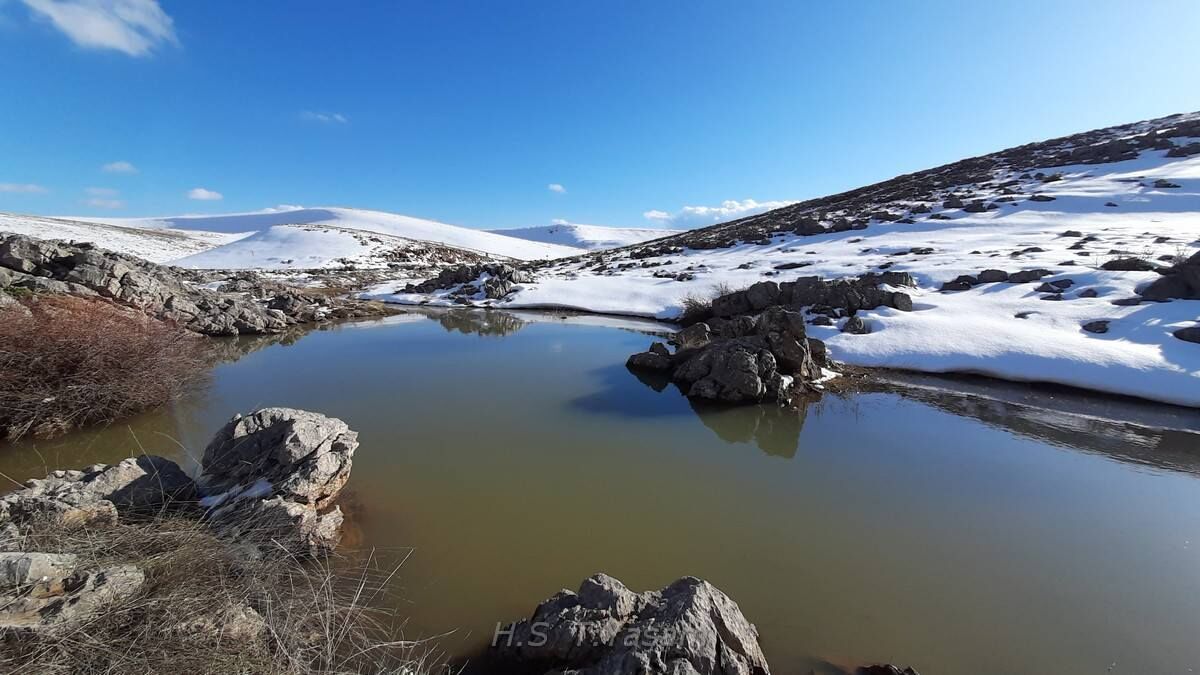 Kardelenlerin Sessiz Direnişi (1)